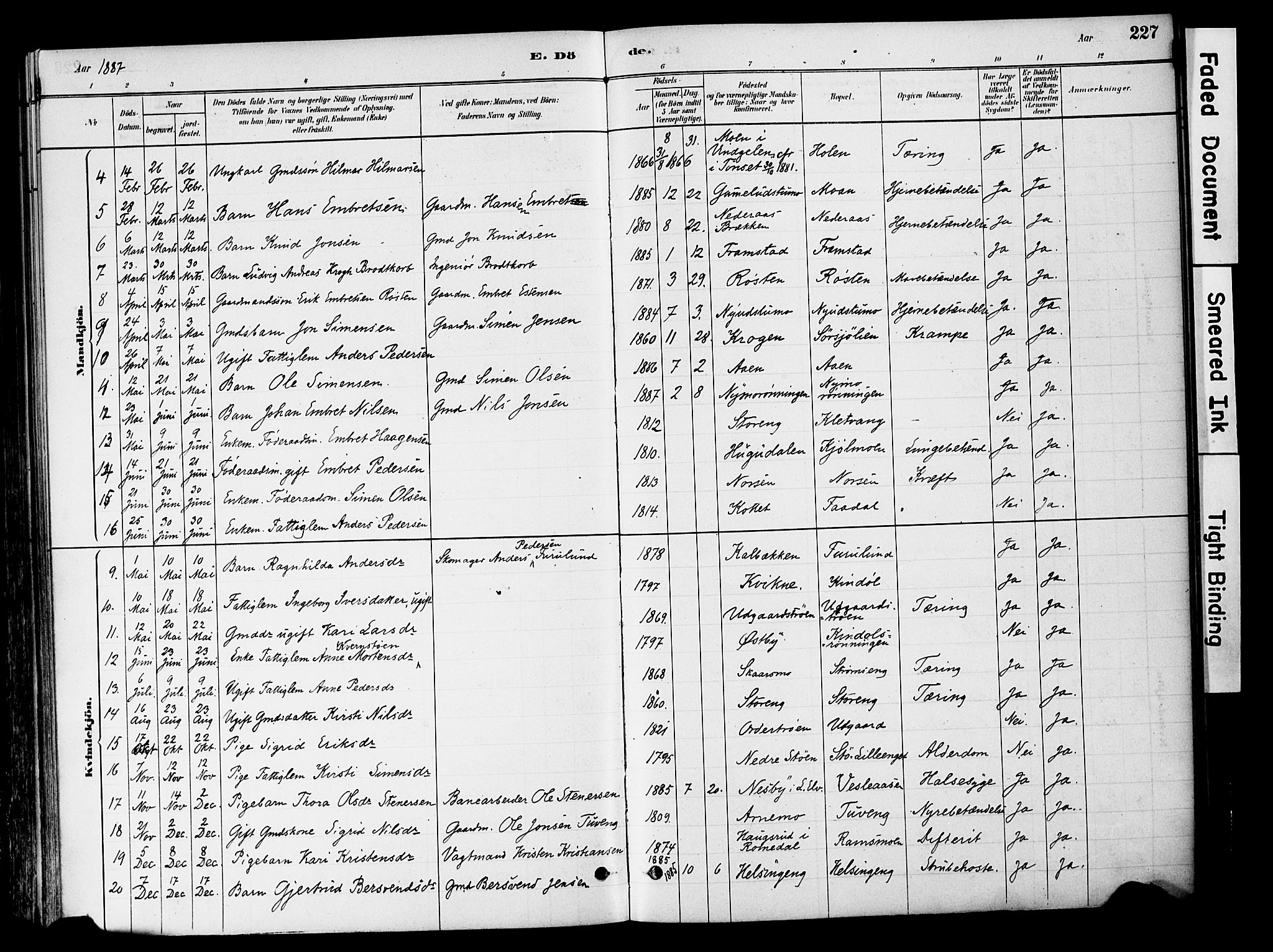 Tynset prestekontor, AV/SAH-PREST-058/H/Ha/Haa/L0022: Ministerialbok nr. 22, 1880-1899, s. 227