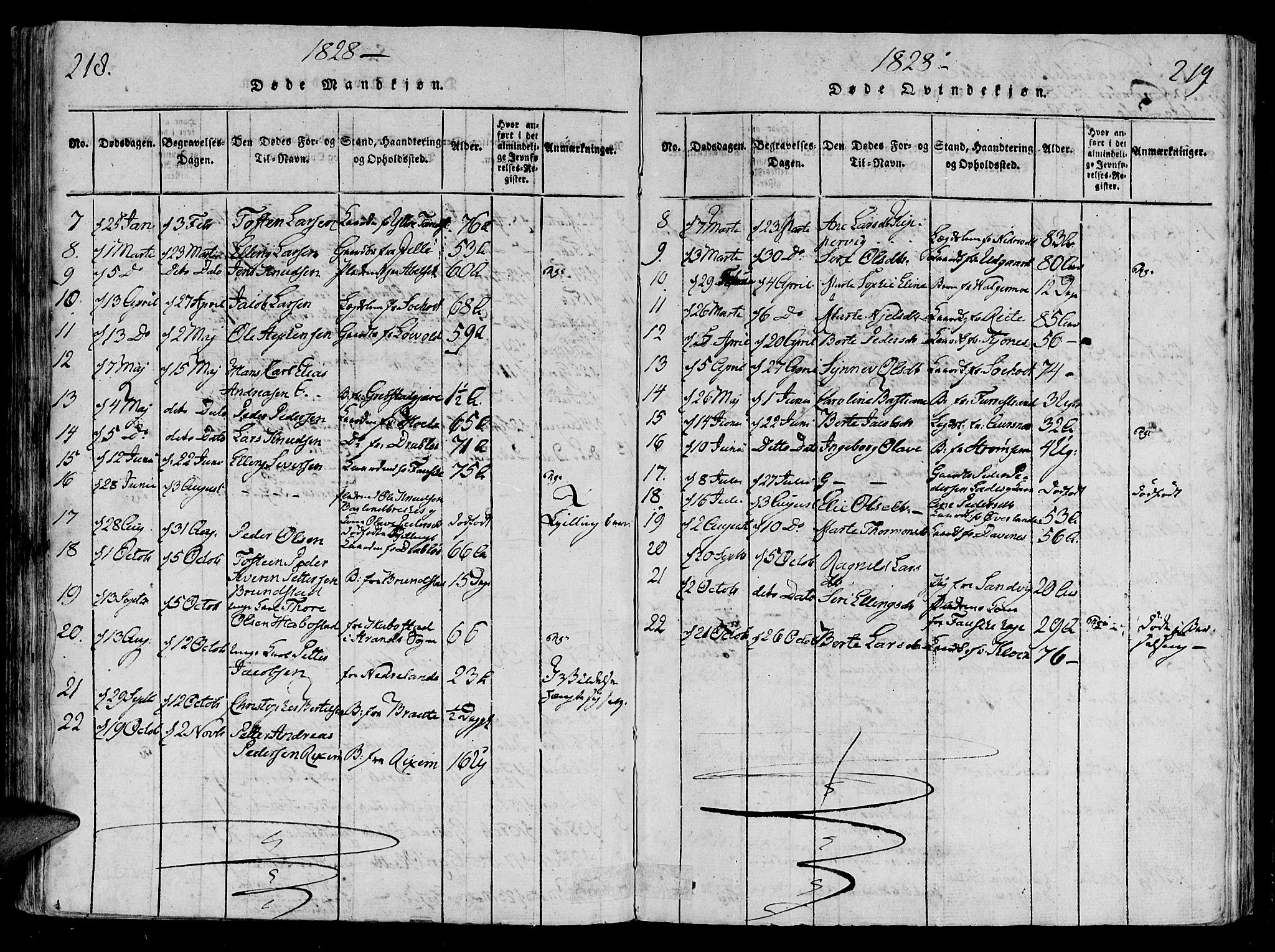 Ministerialprotokoller, klokkerbøker og fødselsregistre - Møre og Romsdal, AV/SAT-A-1454/522/L0310: Ministerialbok nr. 522A05, 1816-1832, s. 218-219