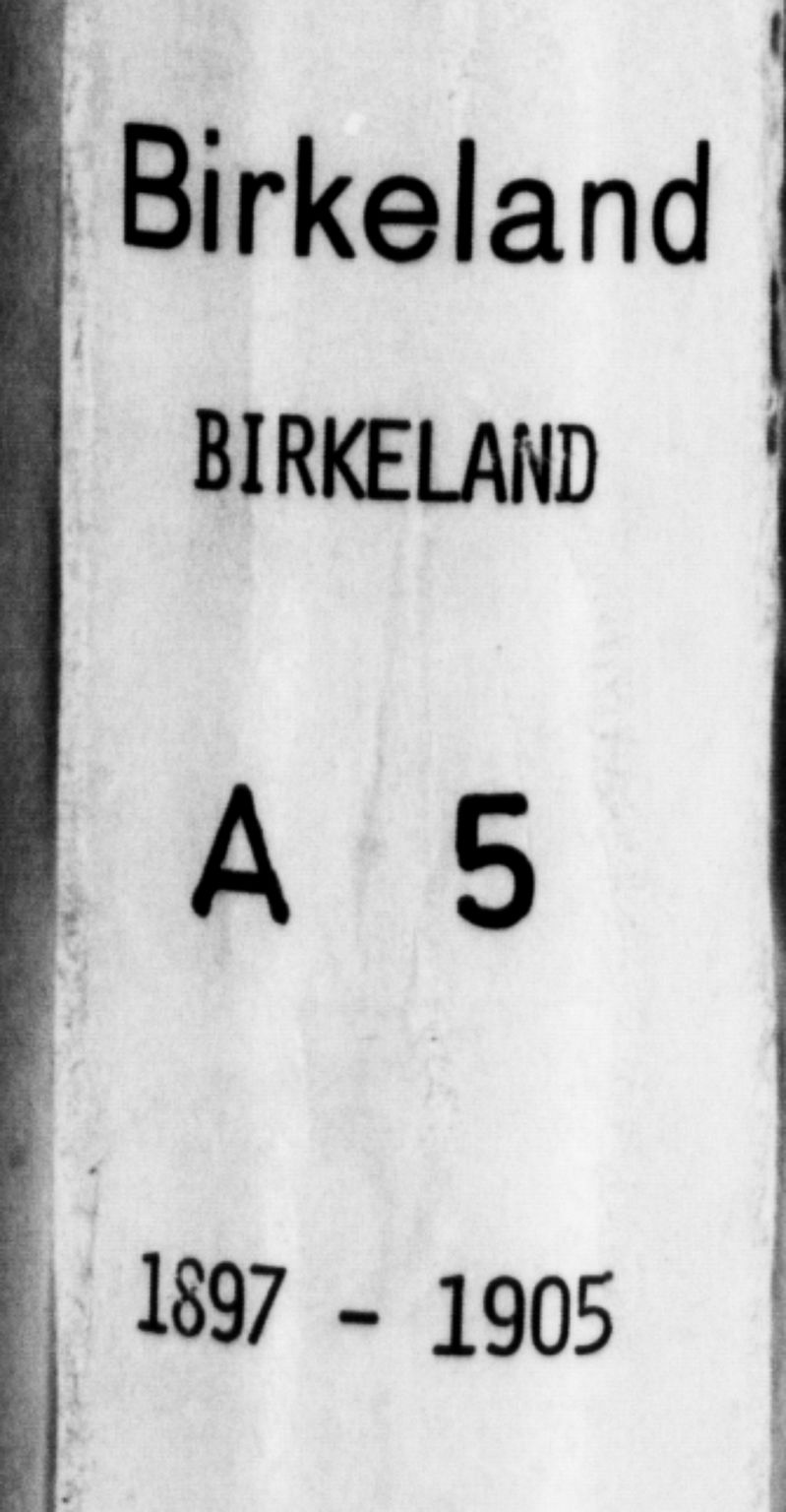 Birkeland Sokneprestembete, SAB/A-74601/H/Hab: Klokkerbok nr. A 5, 1897-1905