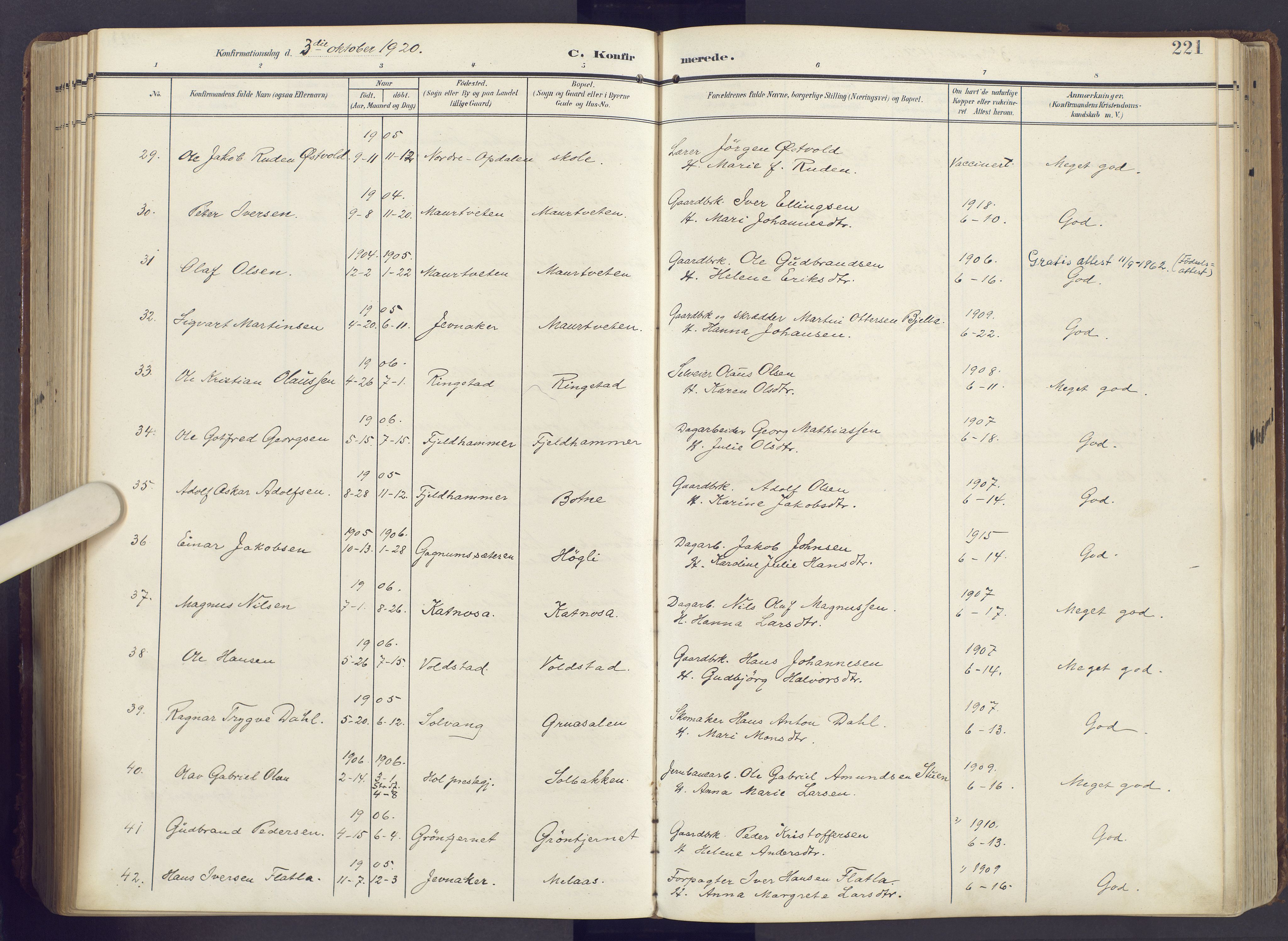 Lunner prestekontor, AV/SAH-PREST-118/H/Ha/Haa/L0001: Ministerialbok nr. 1, 1907-1922, s. 221