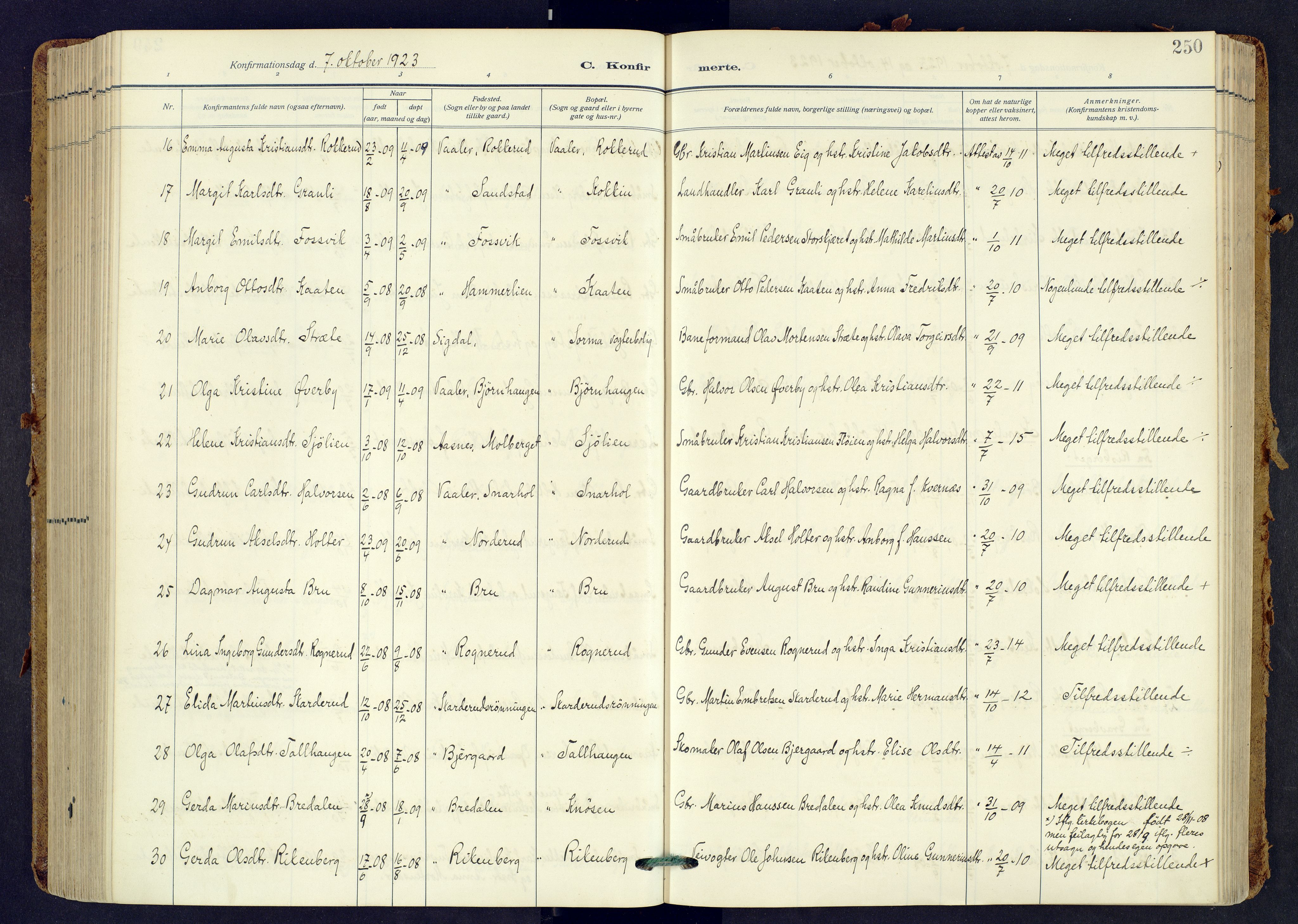 Våler prestekontor, Hedmark, AV/SAH-PREST-040/H/Ha/Haa/L0009: Ministerialbok nr. 9, 1912-1940, s. 250