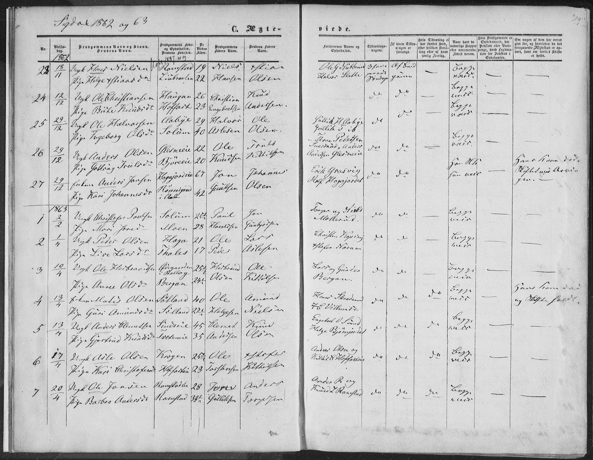 Sigdal kirkebøker, AV/SAKO-A-245/F/Fa/L0009b: Ministerialbok nr. I 9B, 1860-1871, s. 299