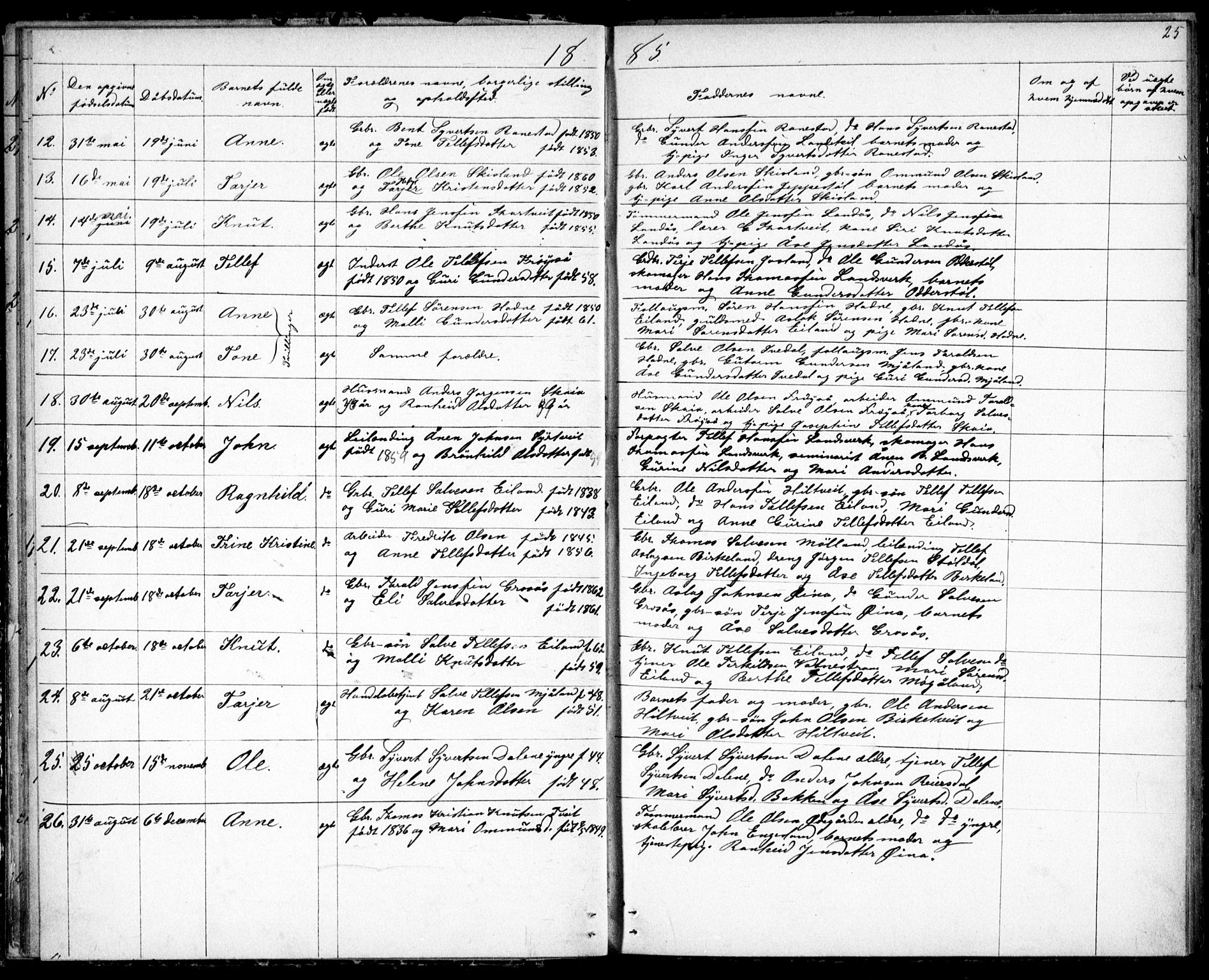 Evje sokneprestkontor, AV/SAK-1111-0008/F/Fb/Fbc/L0003: Klokkerbok nr. B 3, 1876-1889, s. 25
