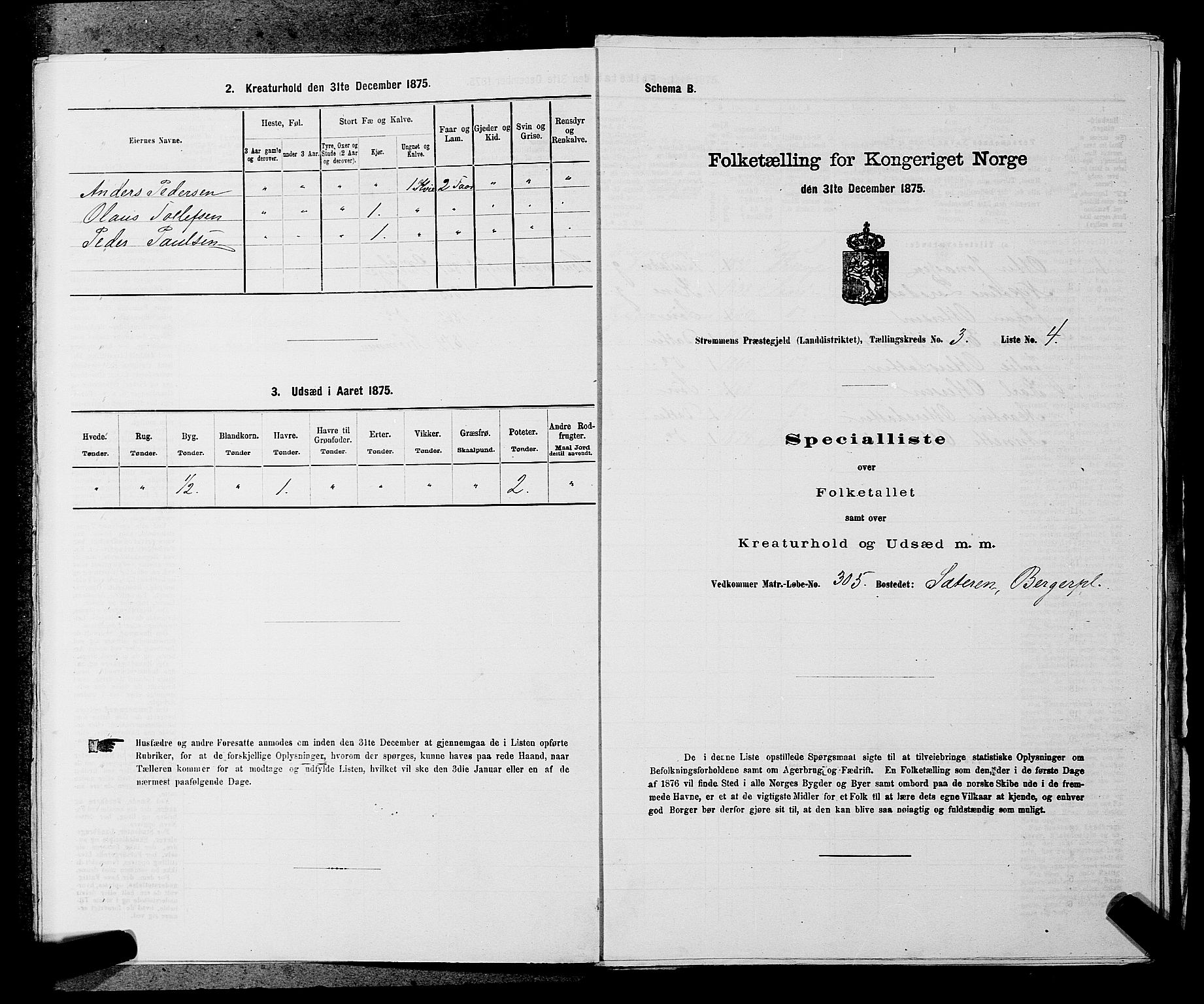 SAKO, Folketelling 1875 for 0711L Strømm prestegjeld, Strømm sokn, 1875, s. 388