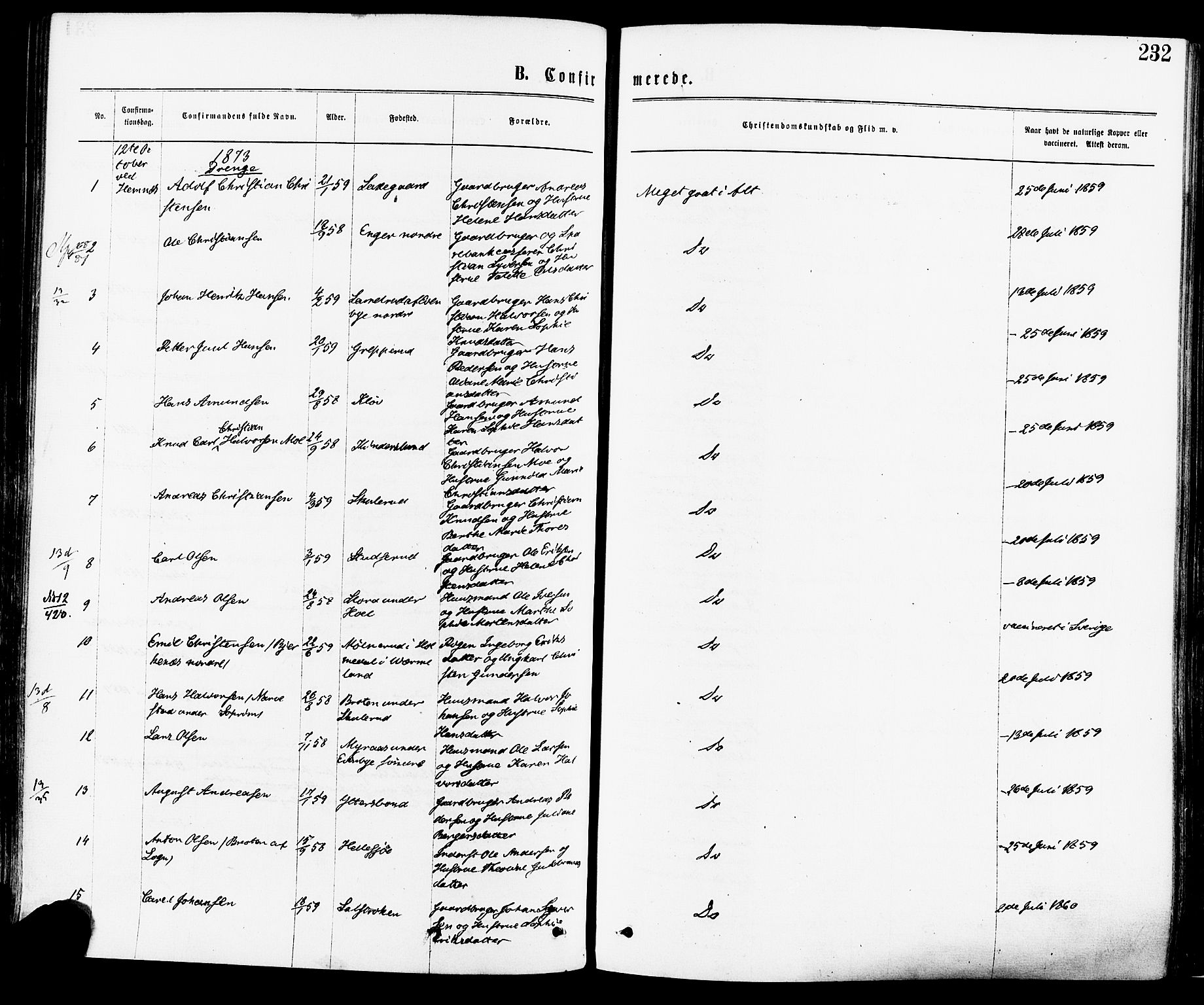 Høland prestekontor Kirkebøker, SAO/A-10346a/F/Fa/L0012.a: Ministerialbok nr. I 12A, 1869-1879, s. 232