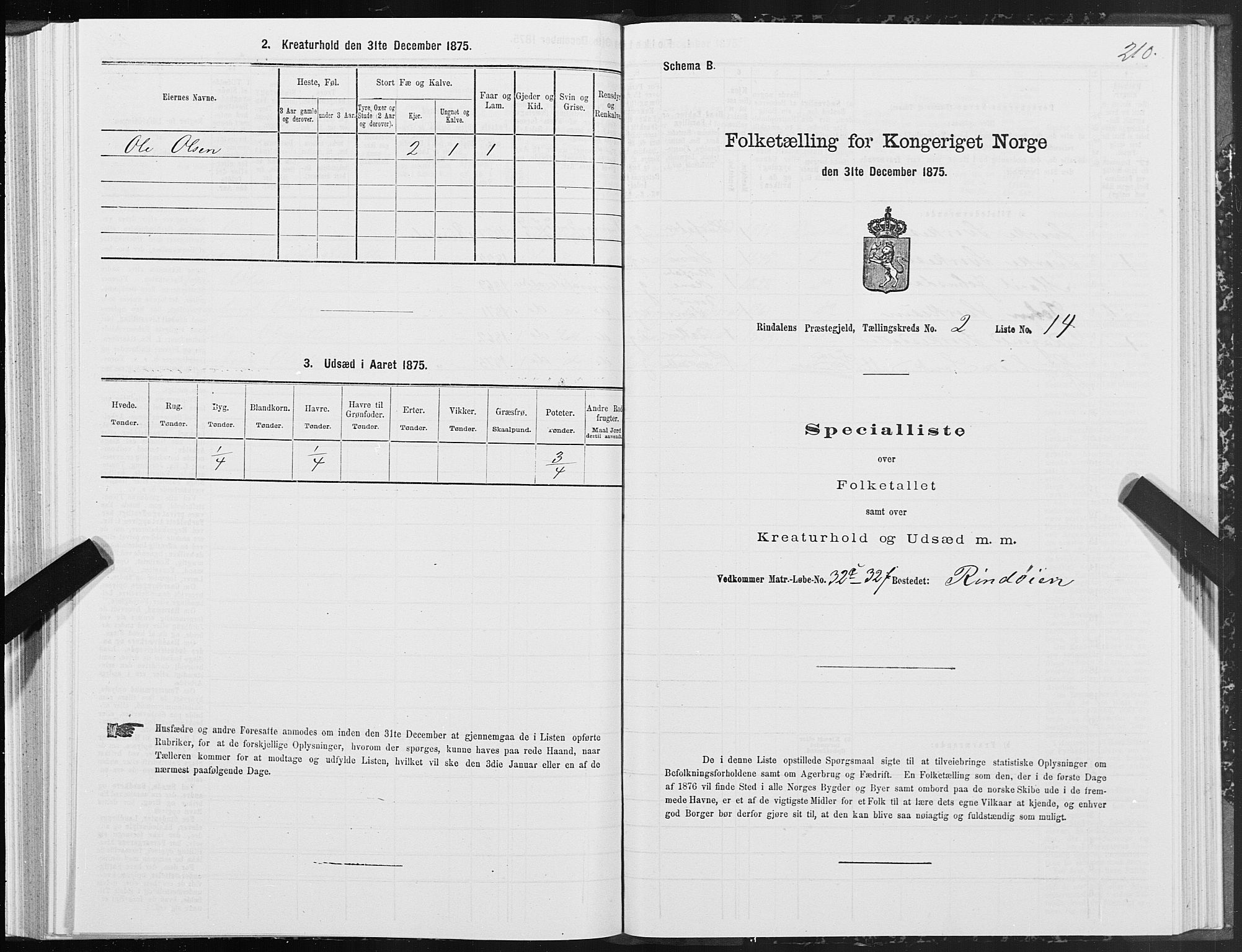 SAT, Folketelling 1875 for 1567P Rindal prestegjeld, 1875, s. 1210