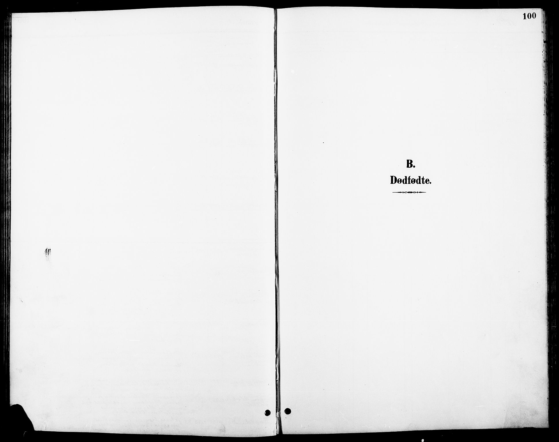 Stange prestekontor, SAH/PREST-002/L/L0011: Klokkerbok nr. 11, 1895-1917, s. 100