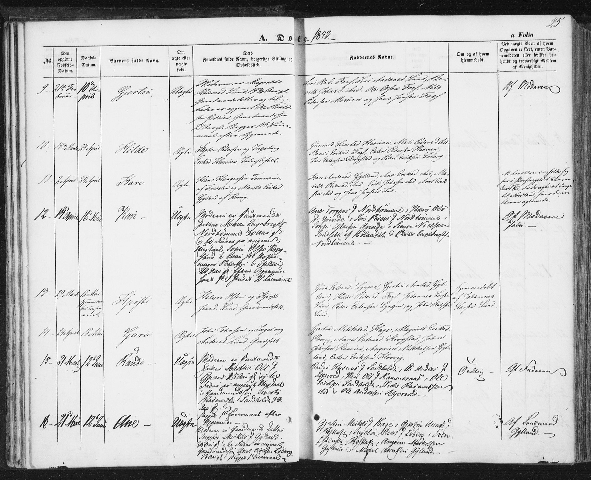 Ministerialprotokoller, klokkerbøker og fødselsregistre - Sør-Trøndelag, AV/SAT-A-1456/692/L1103: Ministerialbok nr. 692A03, 1849-1870, s. 25