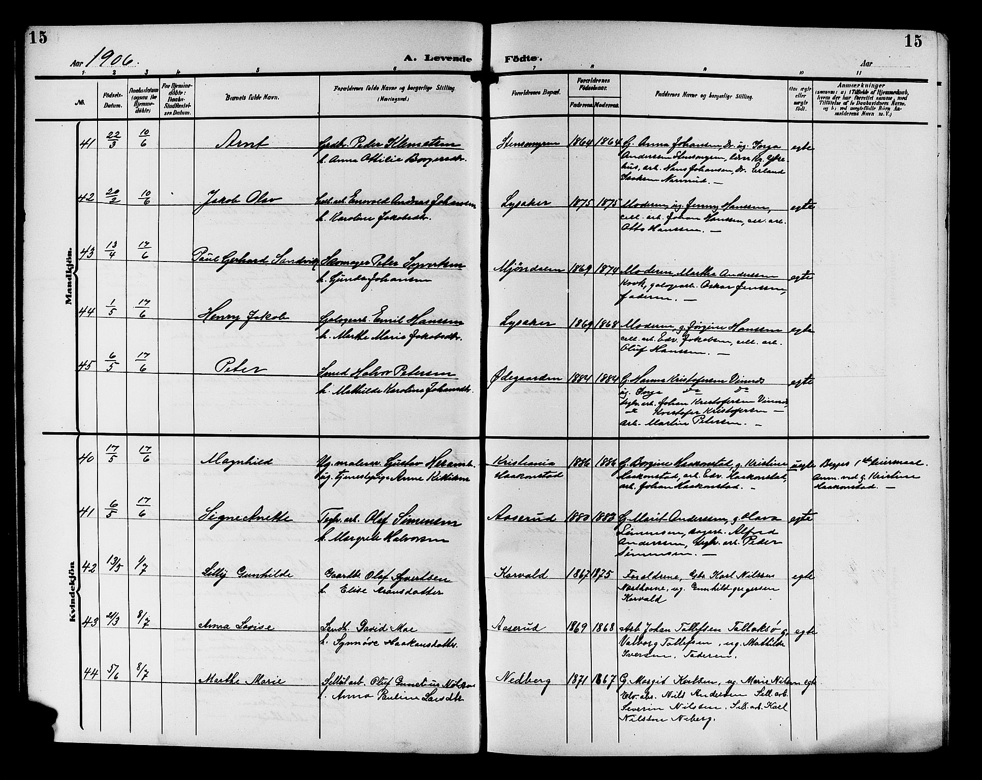 Nedre Eiker kirkebøker, AV/SAKO-A-612/G/Ga/L0004: Klokkerbok nr. 4, 1905-1912, s. 15