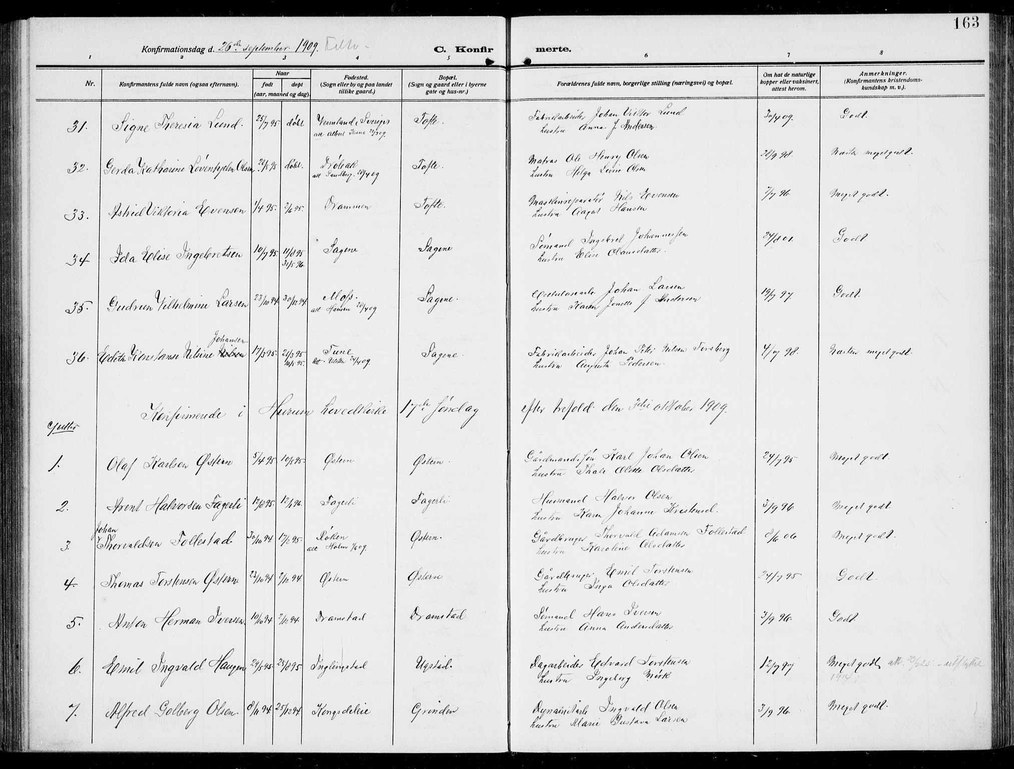 Hurum kirkebøker, AV/SAKO-A-229/F/Fa/L0016: Ministerialbok nr. 16, 1899-1918, s. 163