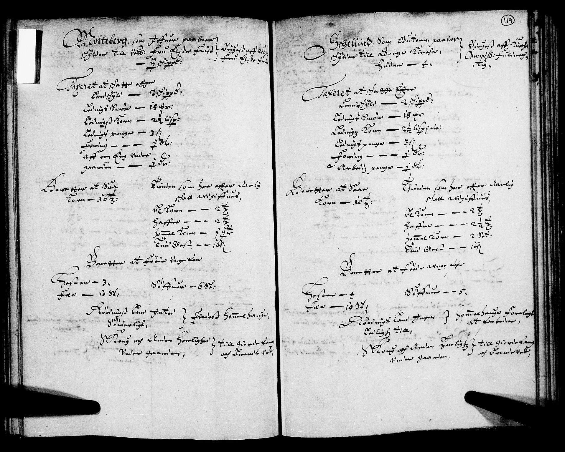 Rentekammeret inntil 1814, Realistisk ordnet avdeling, AV/RA-EA-4070/N/Nb/Nba/L0004: Tune, Veme, Åbygge og Hvaler, 1. del, 1667, s. 118b-119a