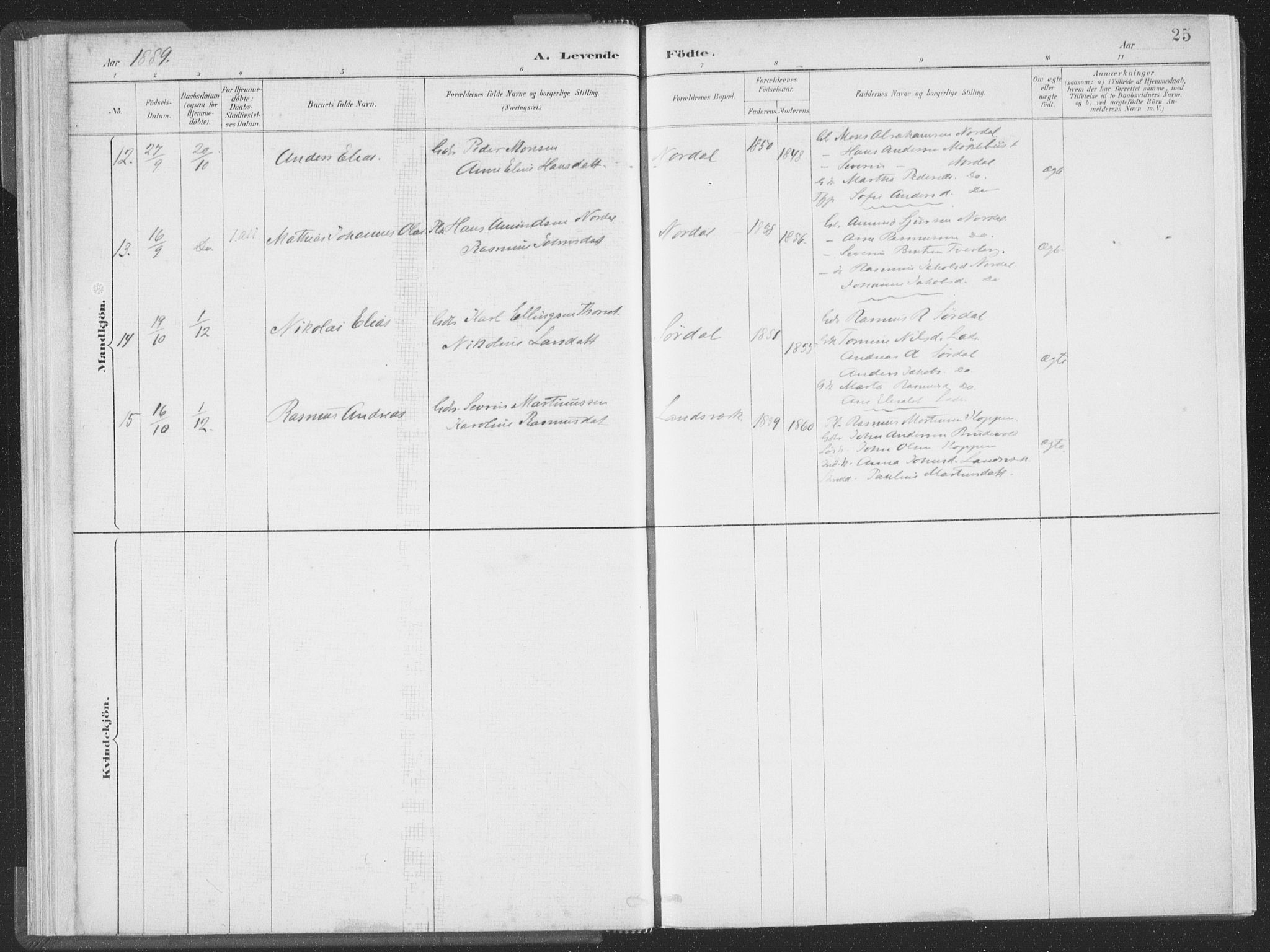 Ministerialprotokoller, klokkerbøker og fødselsregistre - Møre og Romsdal, AV/SAT-A-1454/502/L0025: Ministerialbok nr. 502A03, 1885-1909, s. 25