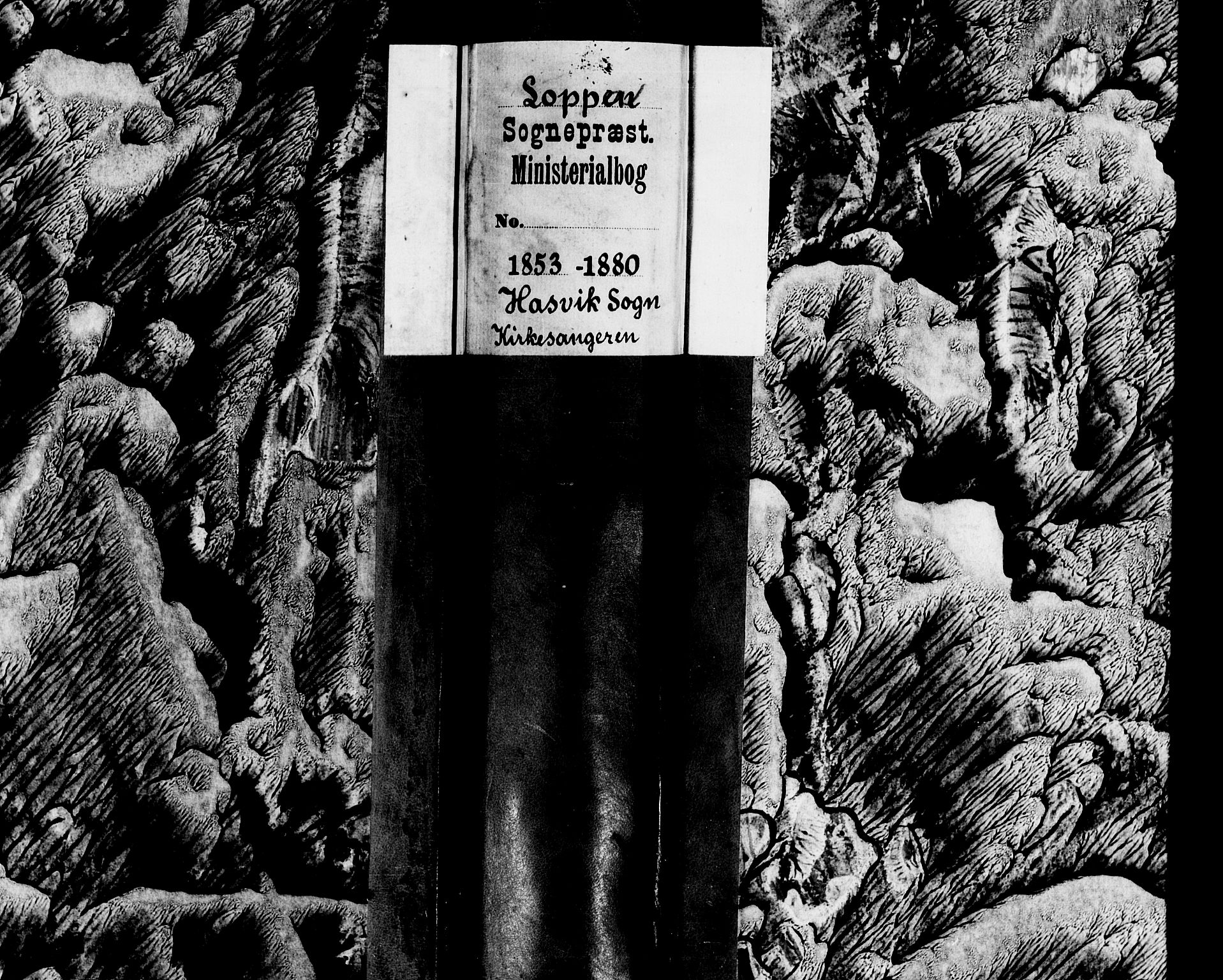 Loppa sokneprestkontor, AV/SATØ-S-1339/H/Hb/L0003klokker: Klokkerbok nr. 3, 1853-1880