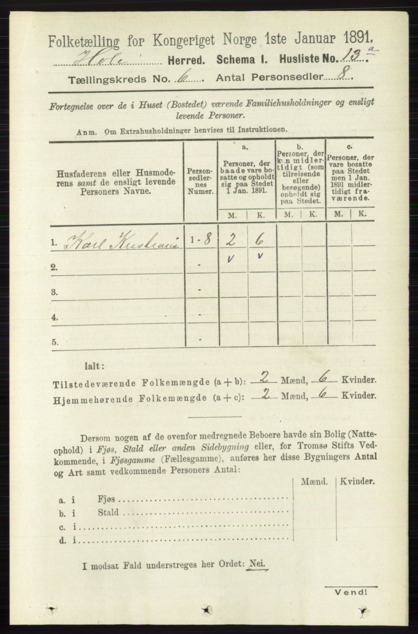 RA, Folketelling 1891 for 0612 Hole herred, 1891, s. 2985