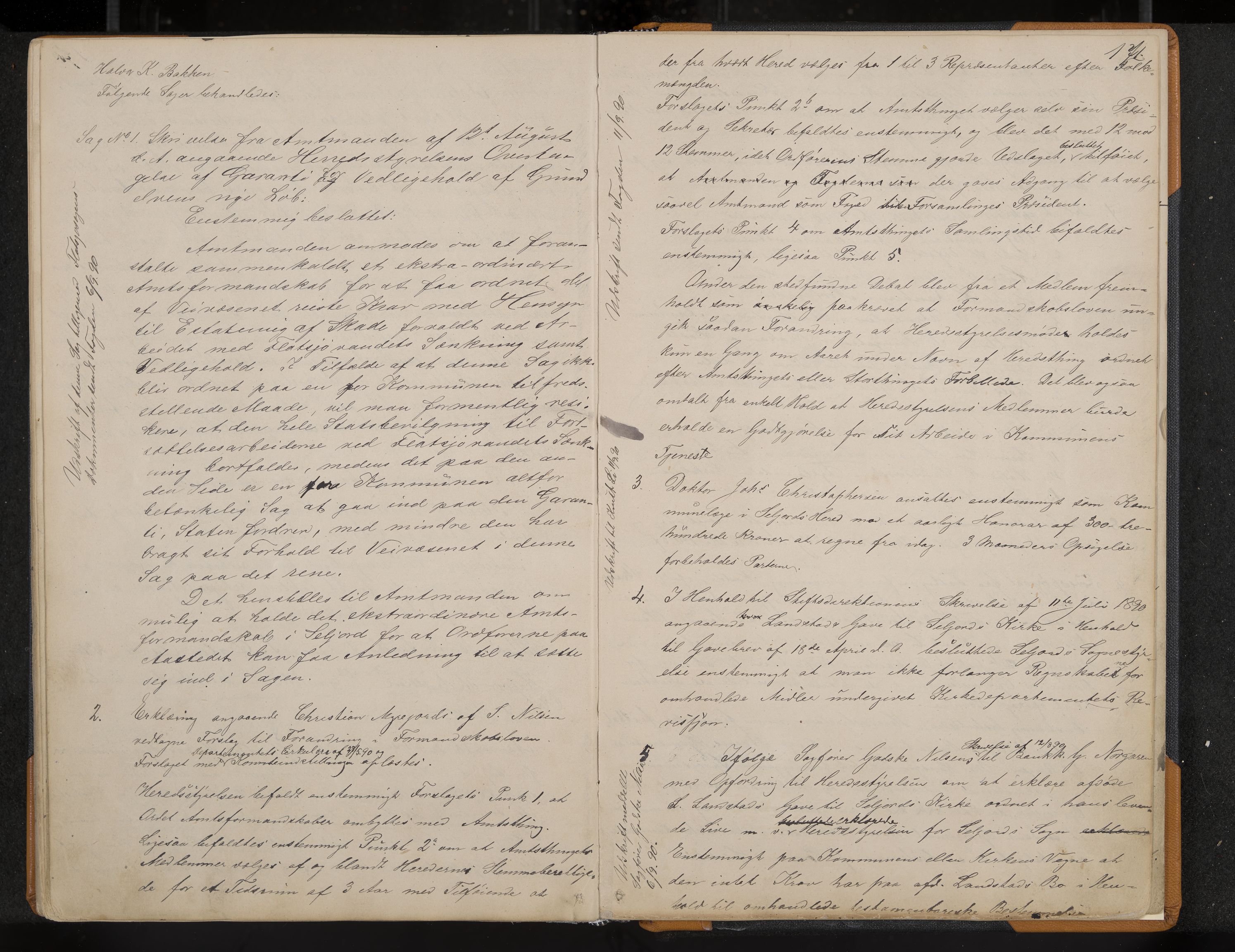 Seljord formannskap og sentraladministrasjon, IKAK/0828021/A/Aa/L0002: Møtebok med register, 1879-1890, s. 171
