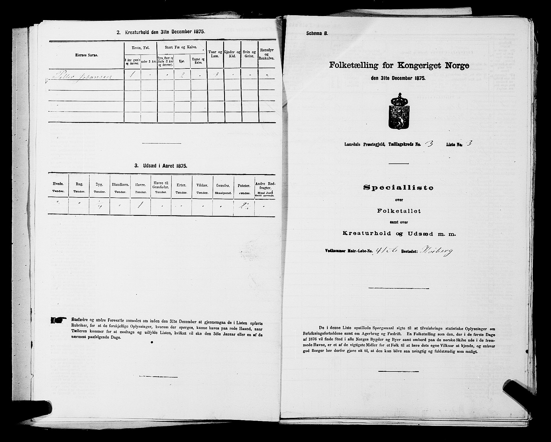 SAKO, Folketelling 1875 for 0728P Lardal prestegjeld, 1875, s. 416