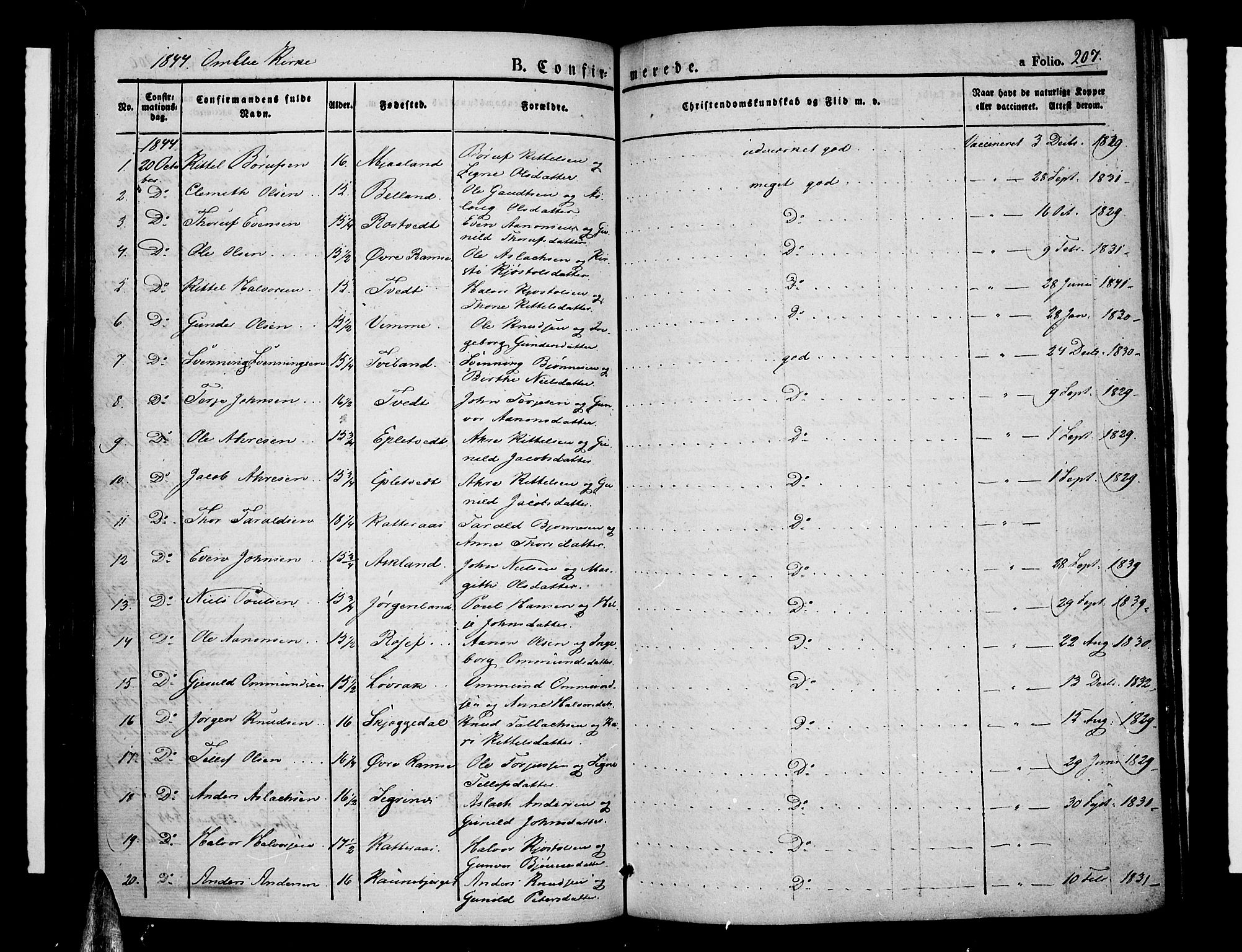 Åmli sokneprestkontor, AV/SAK-1111-0050/F/Fa/Fac/L0007: Ministerialbok nr. A 7 /1, 1829-1851, s. 207