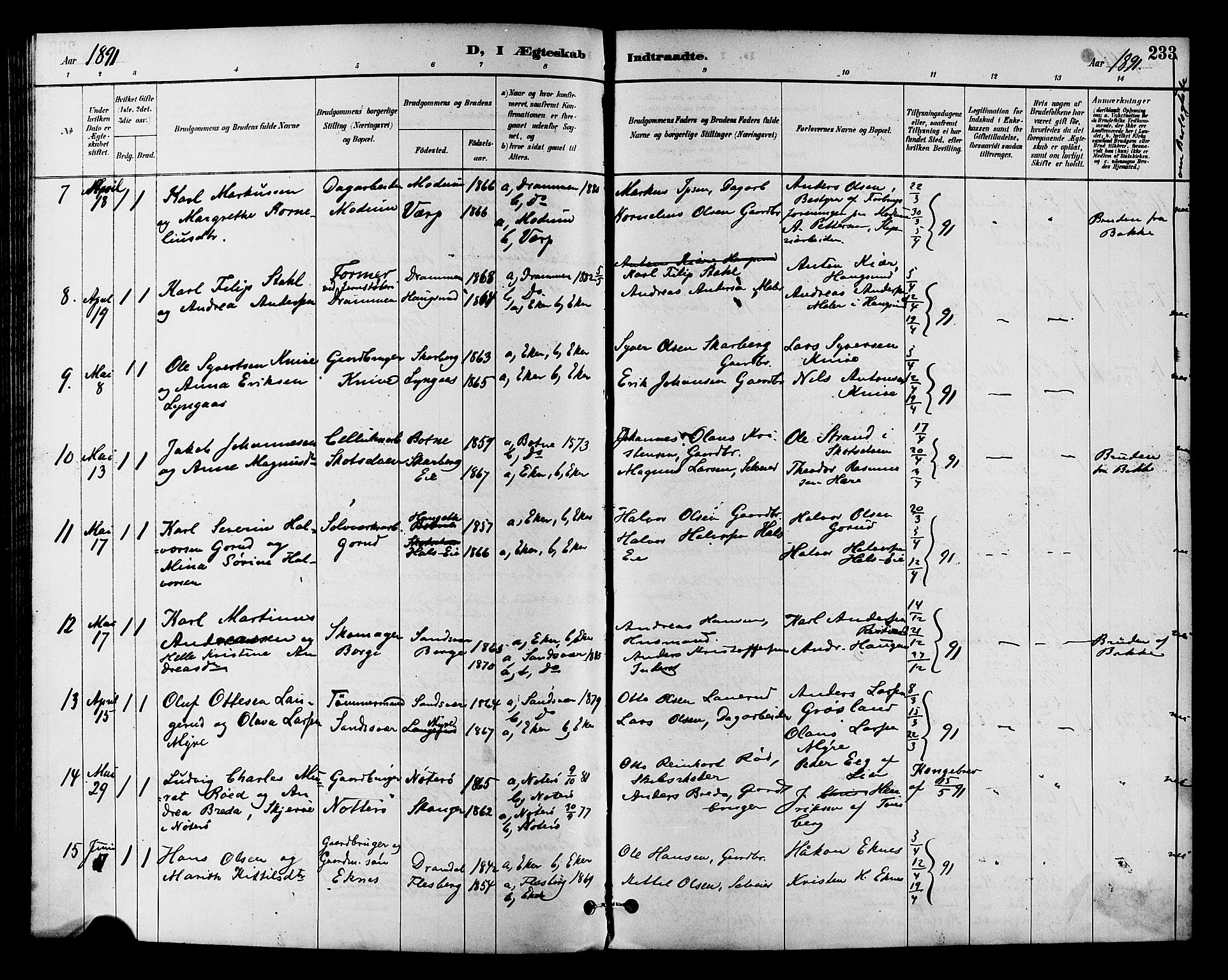 Eiker kirkebøker, AV/SAKO-A-4/F/Fb/L0002: Ministerialbok nr. II 2, 1889-1896, s. 233