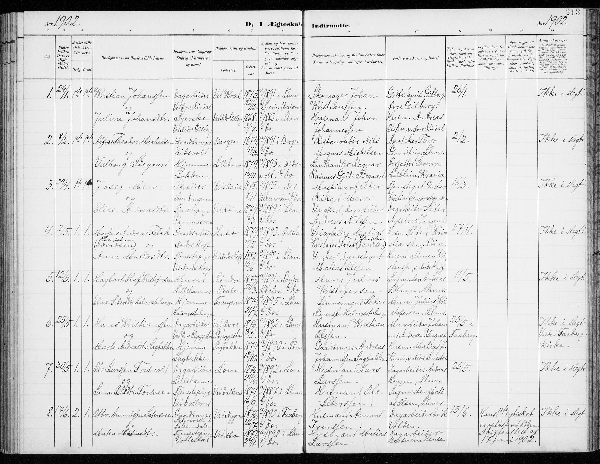 Fåberg prestekontor, AV/SAH-PREST-086/H/Ha/Haa/L0011: Ministerialbok nr. 11, 1899-1913, s. 213