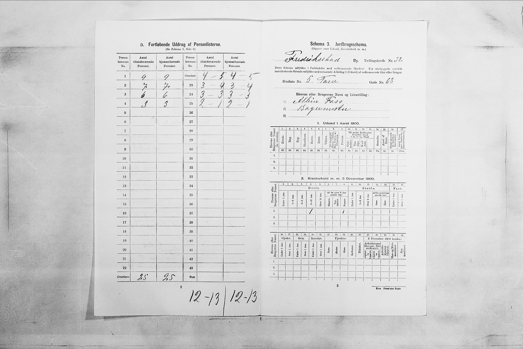 SAO, Folketelling 1900 for 0103 Fredrikstad kjøpstad, 1900