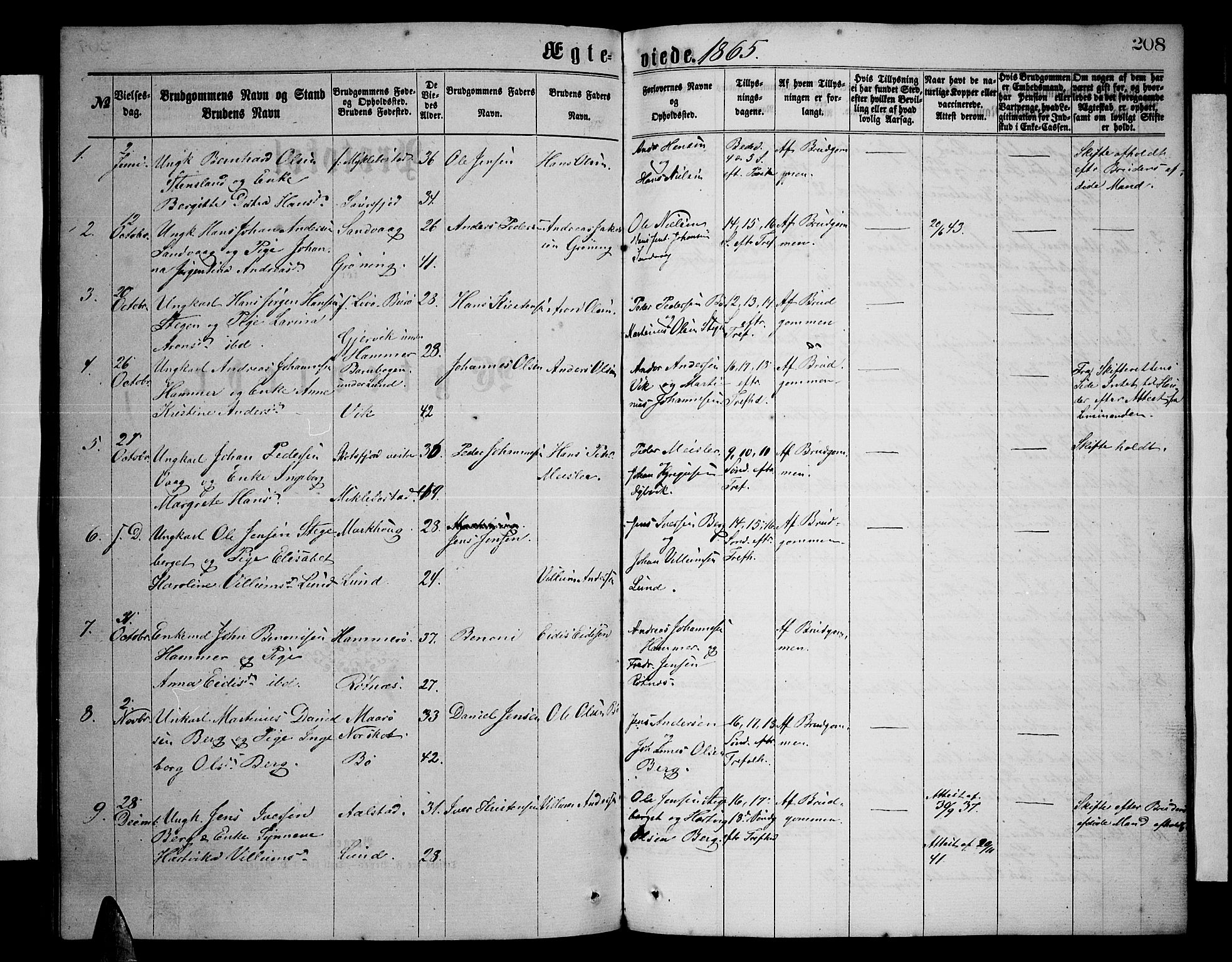 Ministerialprotokoller, klokkerbøker og fødselsregistre - Nordland, AV/SAT-A-1459/855/L0815: Klokkerbok nr. 855C04, 1865-1878, s. 208