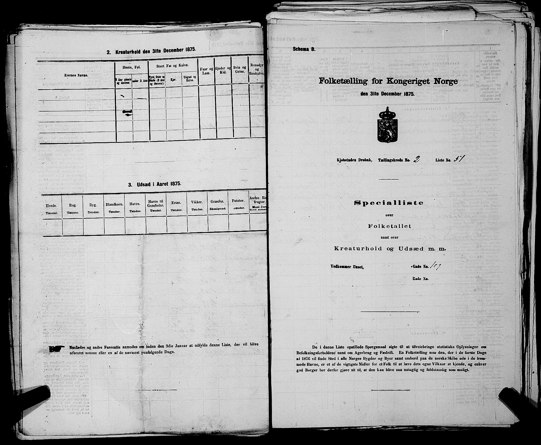 RA, Folketelling 1875 for 0203B Drøbak prestegjeld, Drøbak kjøpstad, 1875, s. 199