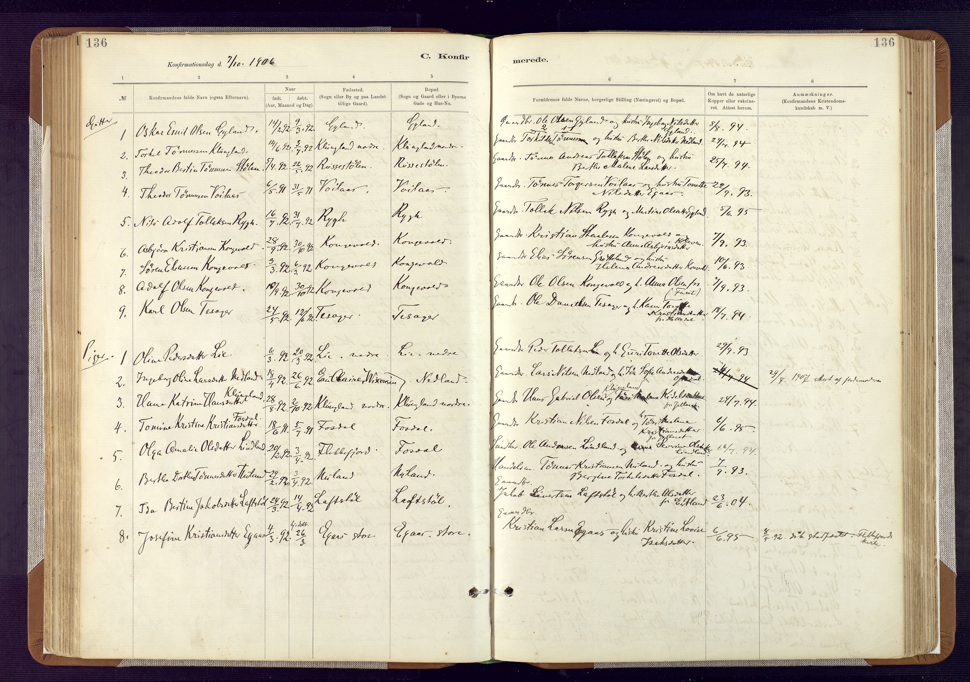 Bakke sokneprestkontor, AV/SAK-1111-0002/F/Fa/Fab/L0003: Ministerialbok nr. A 3, 1884-1921, s. 136