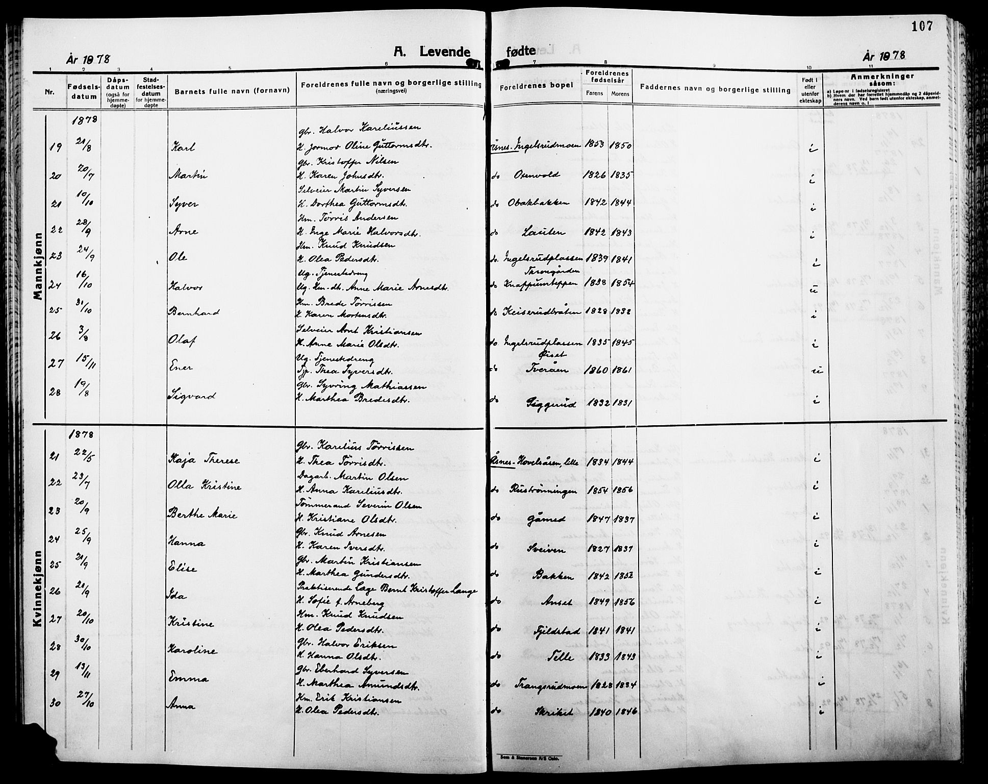 Åsnes prestekontor, AV/SAH-PREST-042/H/Ha/Haa/L0000B: Ministerialbok, 1870-1889, s. 107