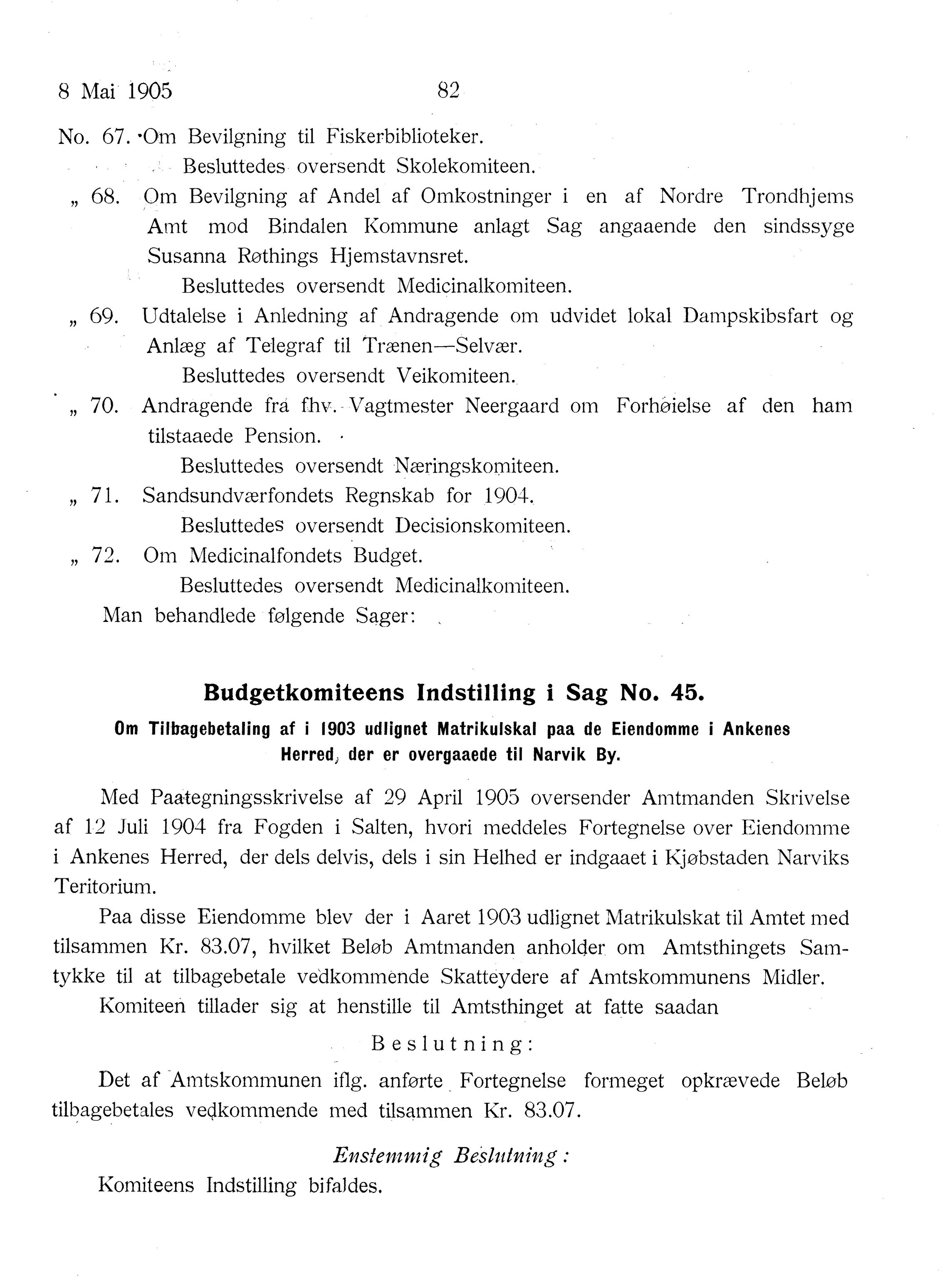 Nordland Fylkeskommune. Fylkestinget, AIN/NFK-17/176/A/Ac/L0028: Fylkestingsforhandlinger 1905, 1905