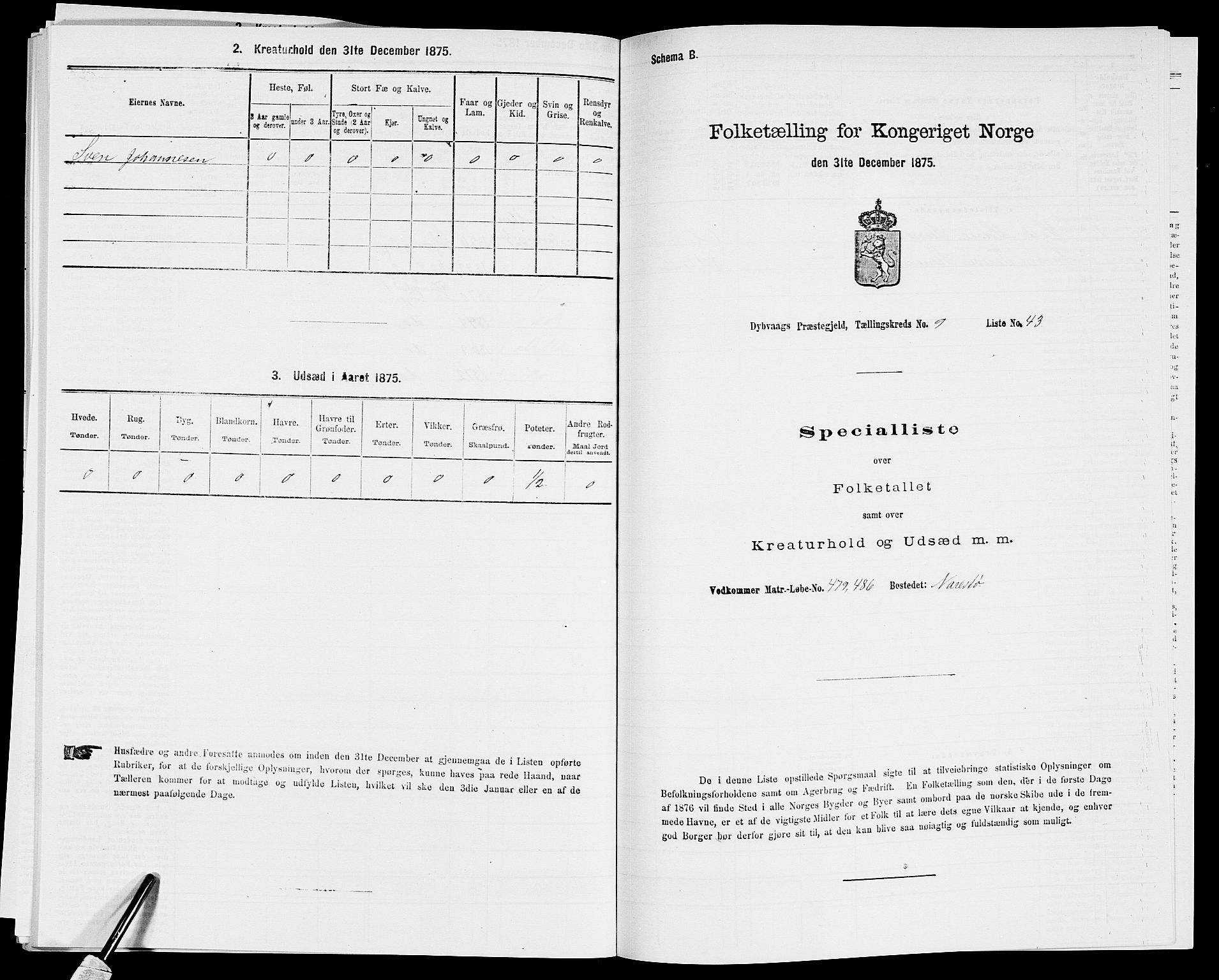 SAK, Folketelling 1875 for 0915P Dypvåg prestegjeld, 1875, s. 1196