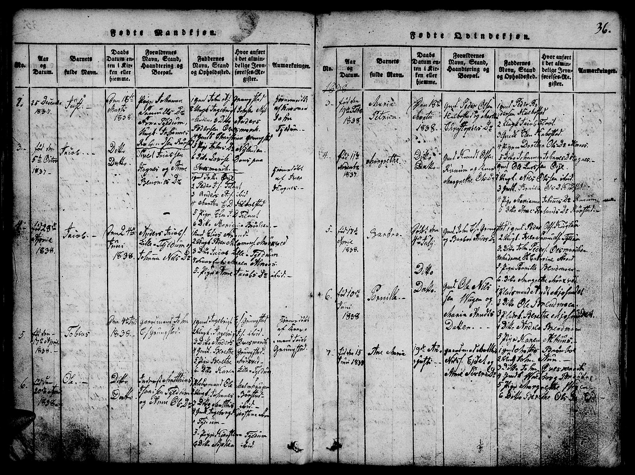 Ministerialprotokoller, klokkerbøker og fødselsregistre - Nord-Trøndelag, SAT/A-1458/765/L0562: Klokkerbok nr. 765C01, 1817-1851, s. 36