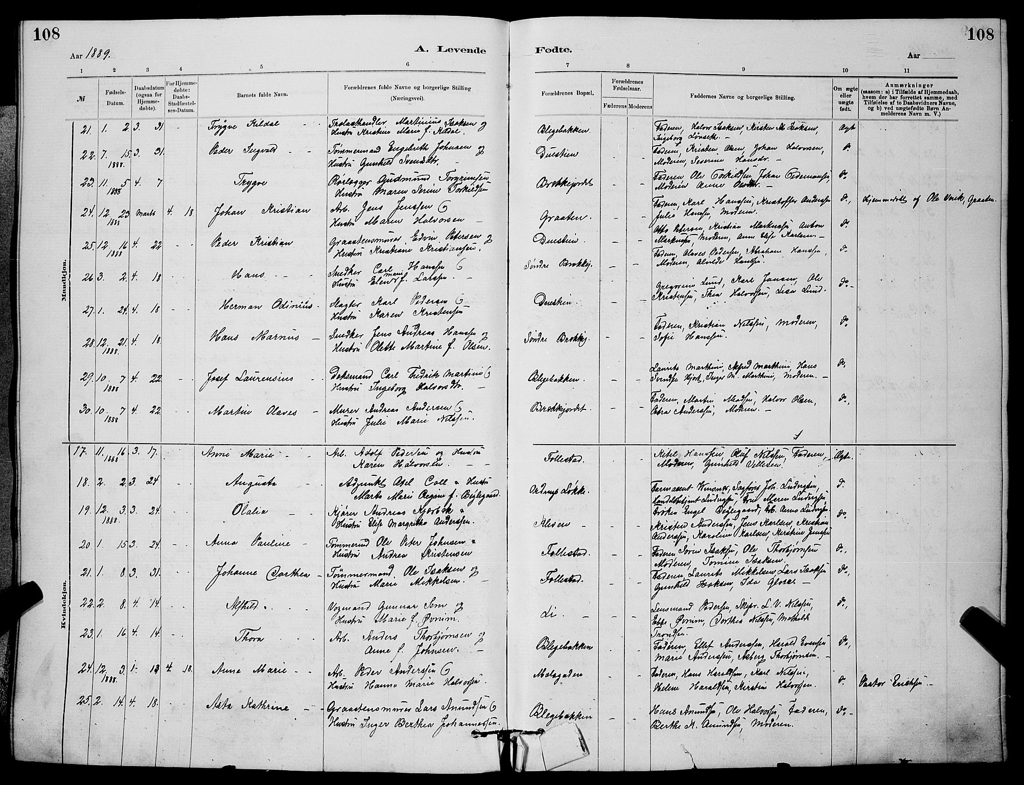 Skien kirkebøker, SAKO/A-302/G/Ga/L0006: Klokkerbok nr. 6, 1881-1890, s. 108