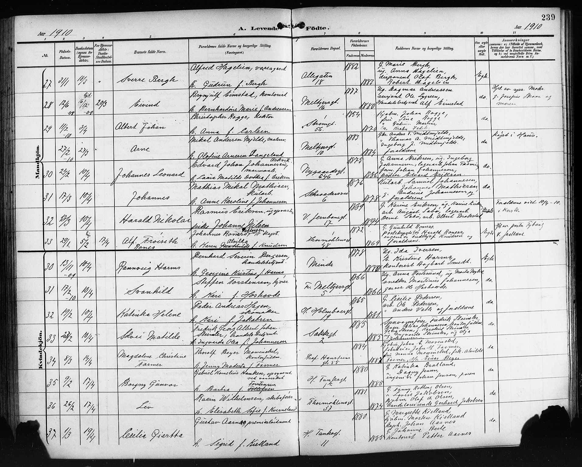Johanneskirken sokneprestembete, AV/SAB-A-76001/H/Hab: Klokkerbok nr. A 2, 1900-1912, s. 239