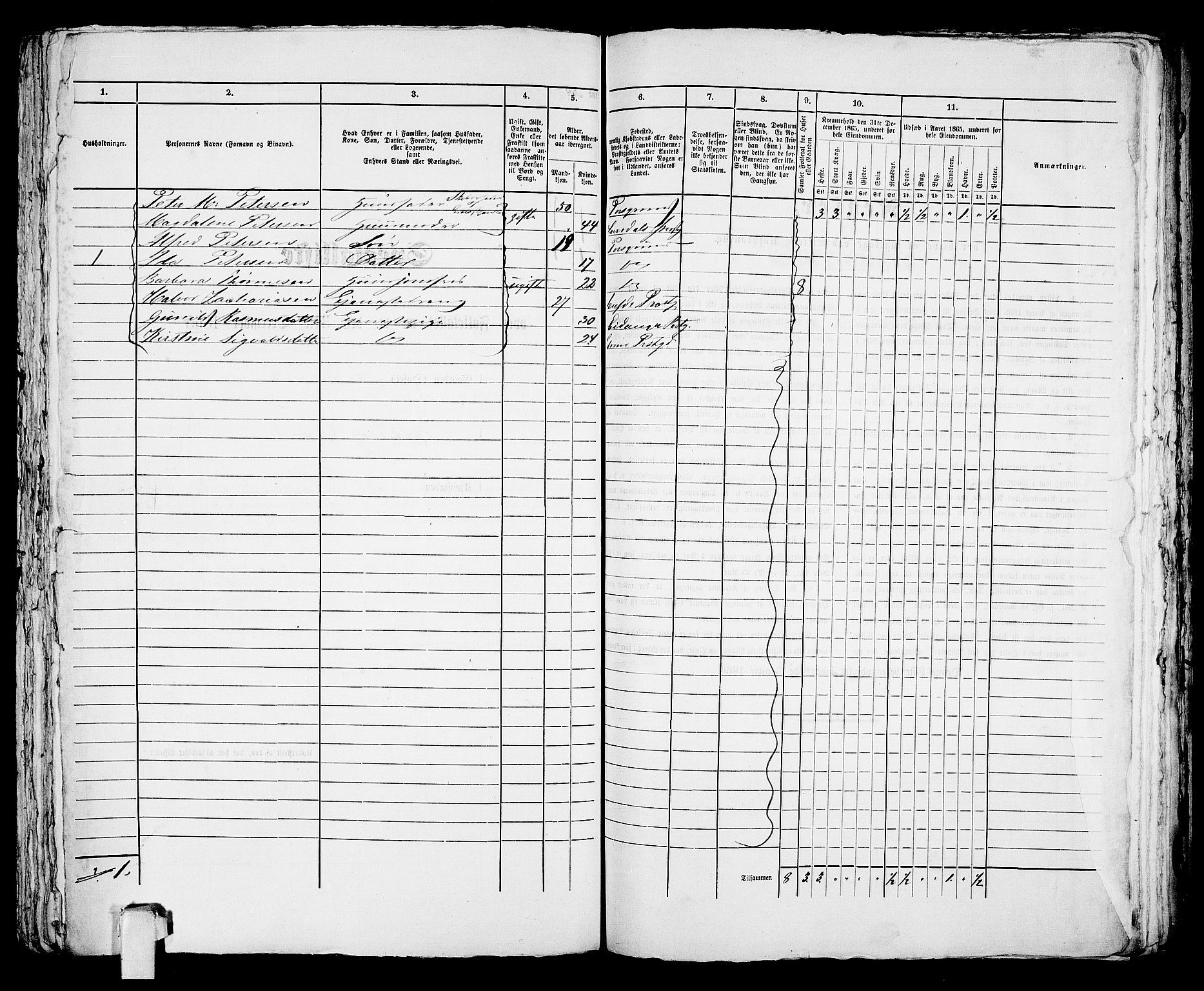 RA, Folketelling 1865 for 0805P Porsgrunn prestegjeld, 1865, s. 249