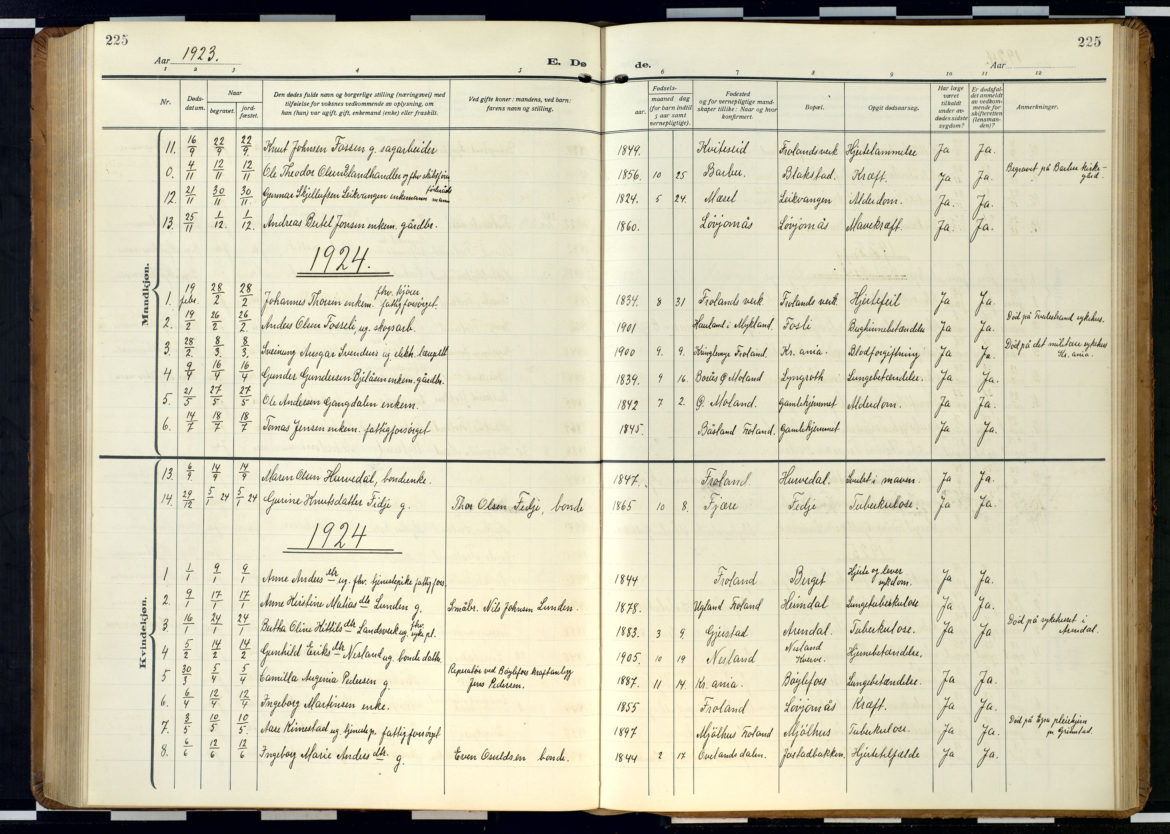 Froland sokneprestkontor, AV/SAK-1111-0013/F/Fb/L0011: Klokkerbok nr. B 11, 1921-1947, s. 225