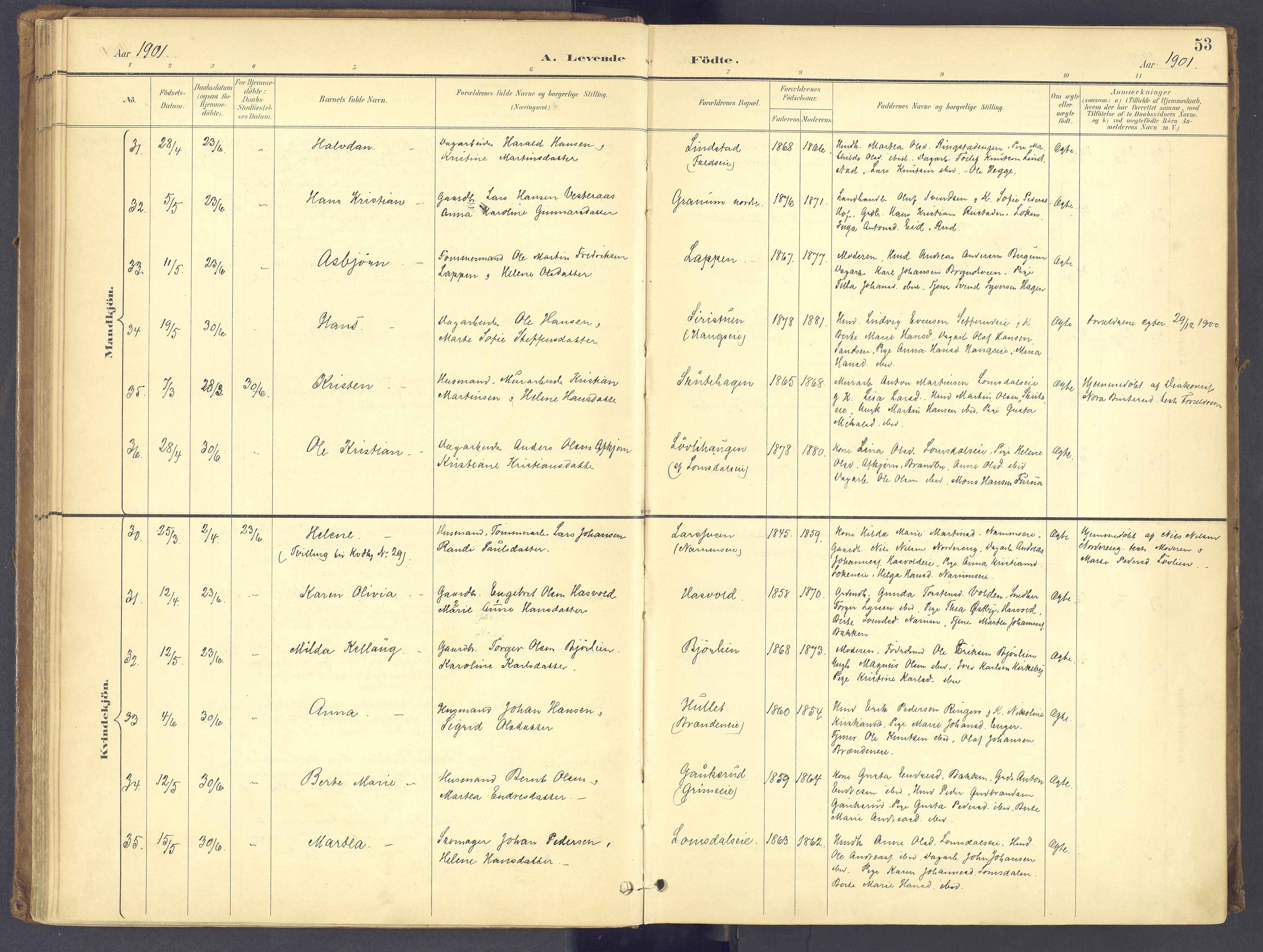 Søndre Land prestekontor, AV/SAH-PREST-122/K/L0006: Ministerialbok nr. 6, 1895-1904, s. 53