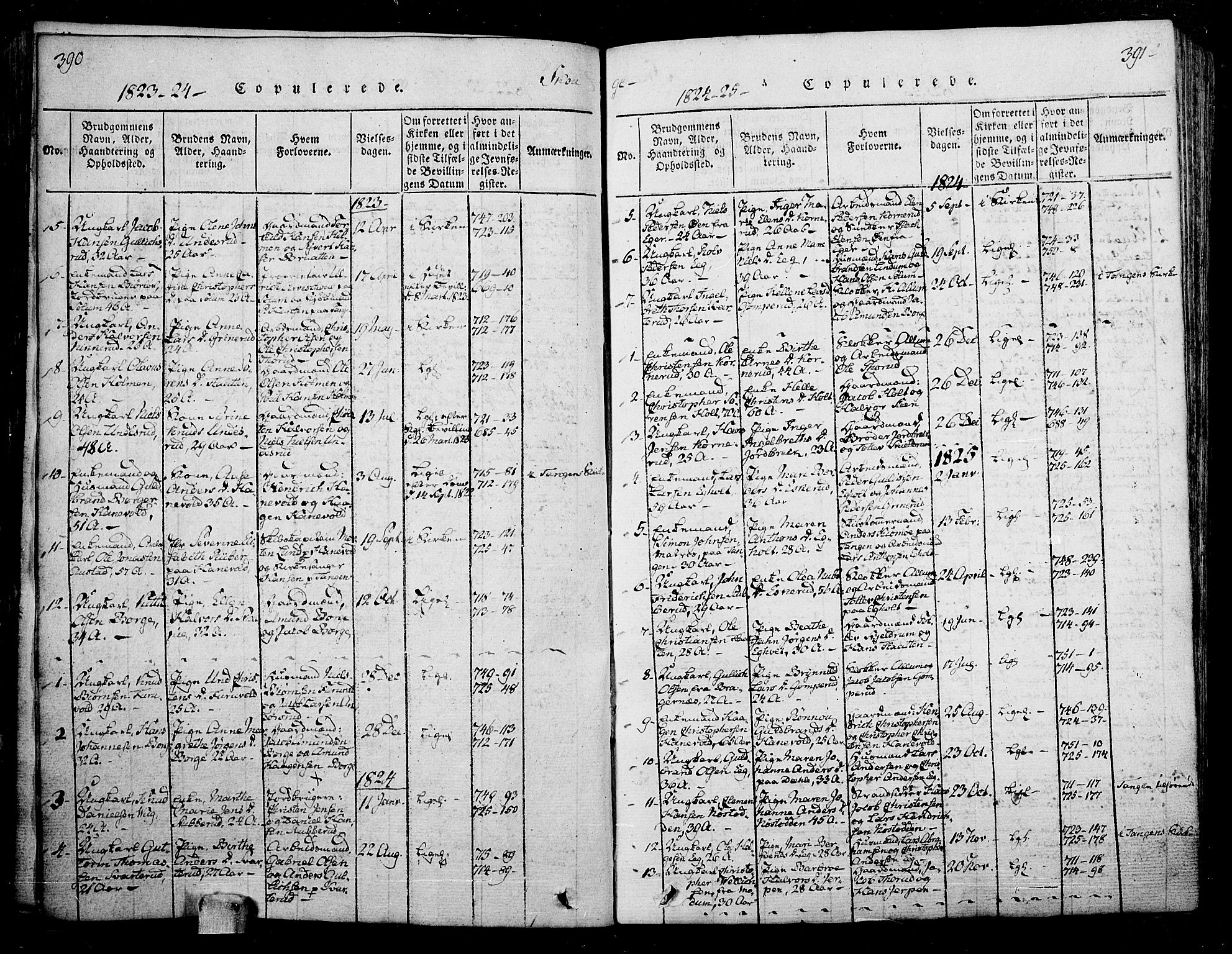 Skoger kirkebøker, SAKO/A-59/F/Fa/L0002: Ministerialbok nr. I 2 /1, 1814-1842, s. 390-391