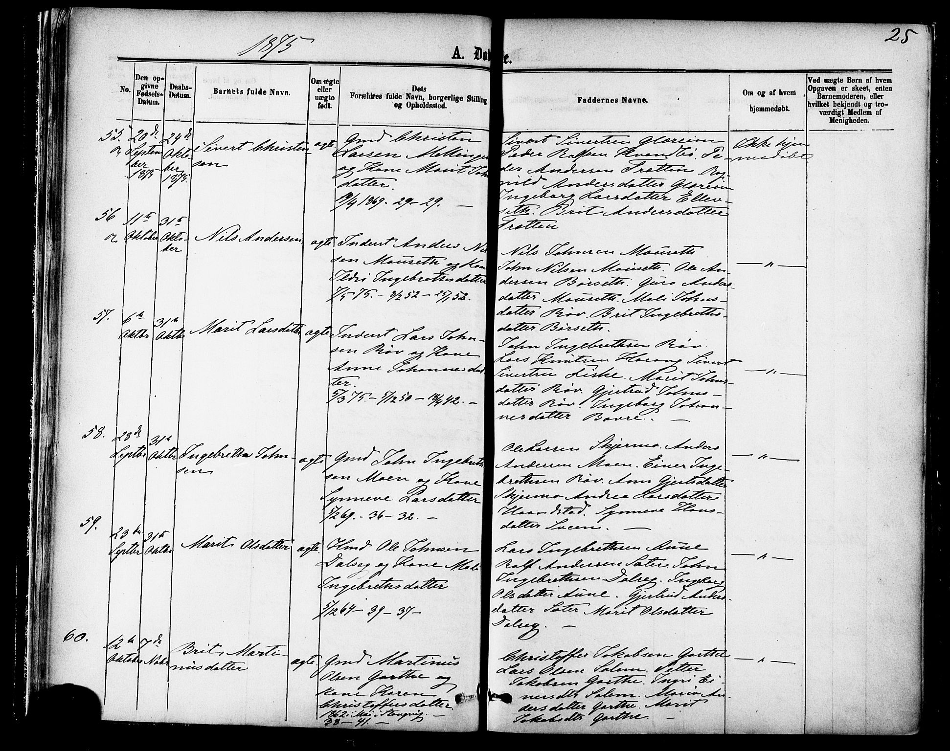 Ministerialprotokoller, klokkerbøker og fødselsregistre - Møre og Romsdal, AV/SAT-A-1454/595/L1046: Ministerialbok nr. 595A08, 1874-1884, s. 25