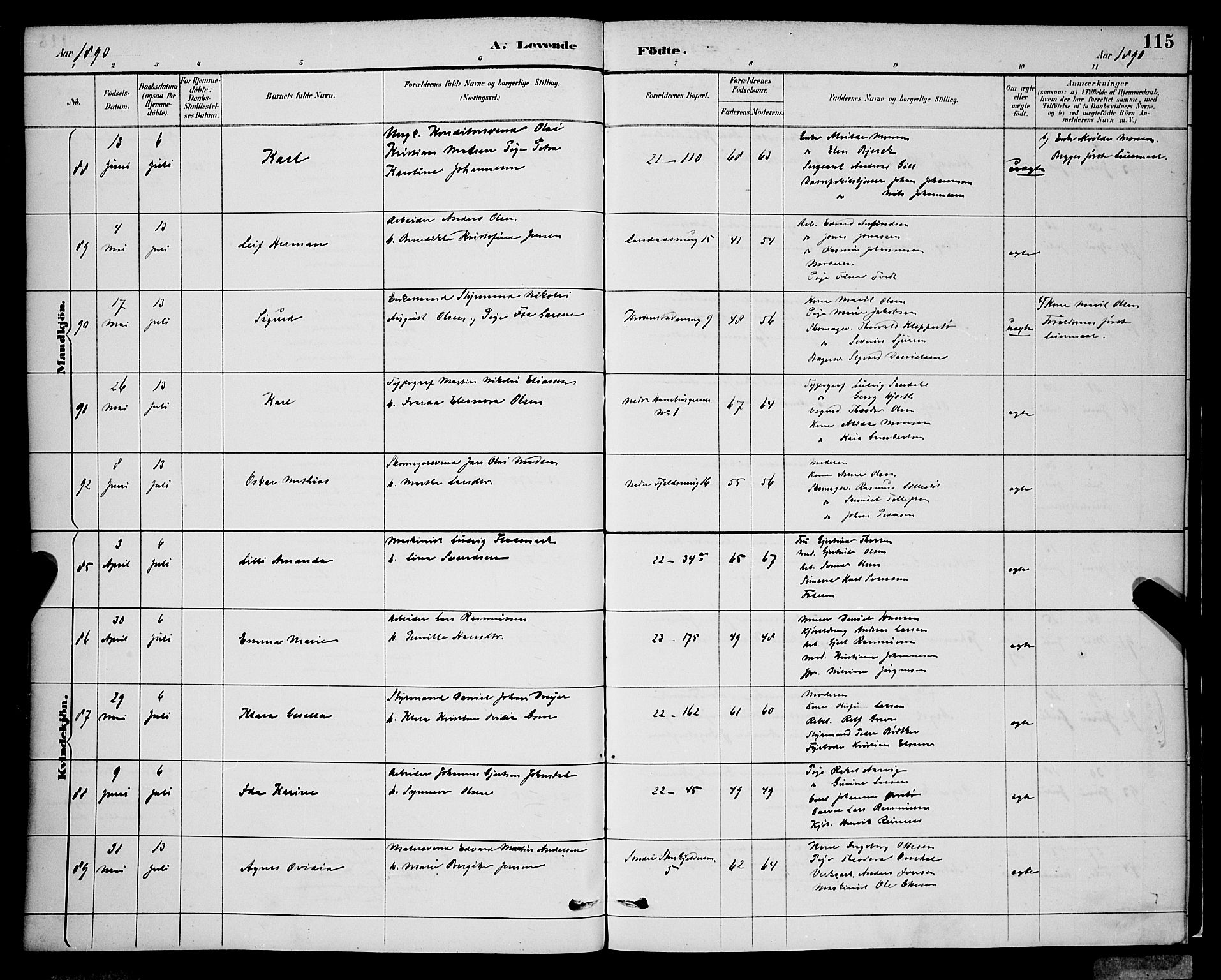Korskirken sokneprestembete, SAB/A-76101/H/Hab: Klokkerbok nr. B 9, 1887-1896, s. 115