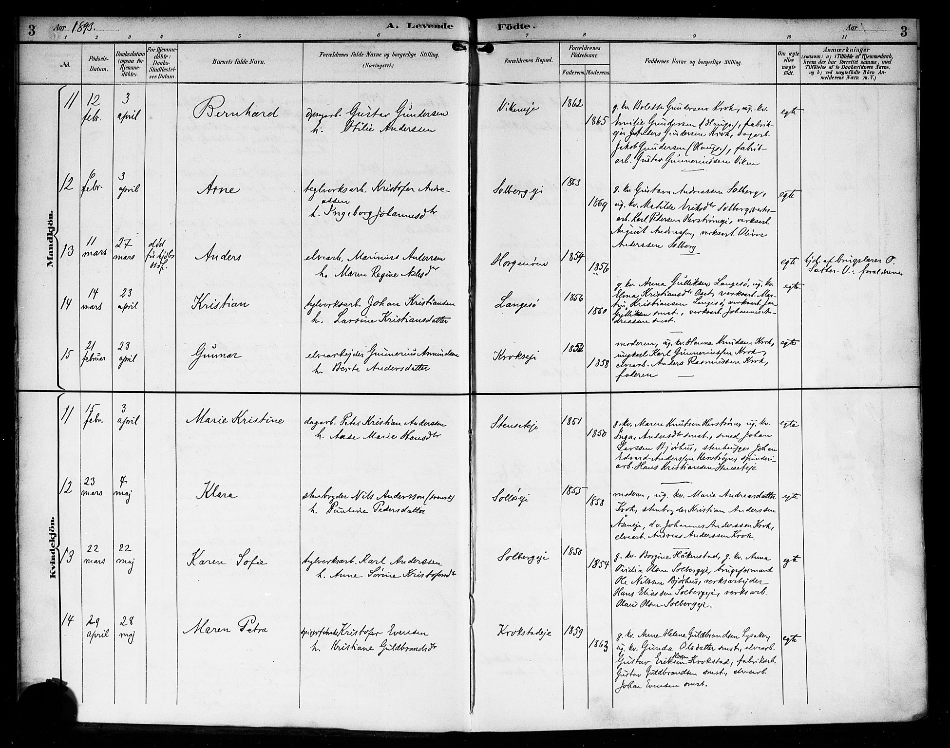 Nedre Eiker kirkebøker, AV/SAKO-A-612/F/Fa/L0004: Ministerialbok nr. 4, 1893-1898, s. 3