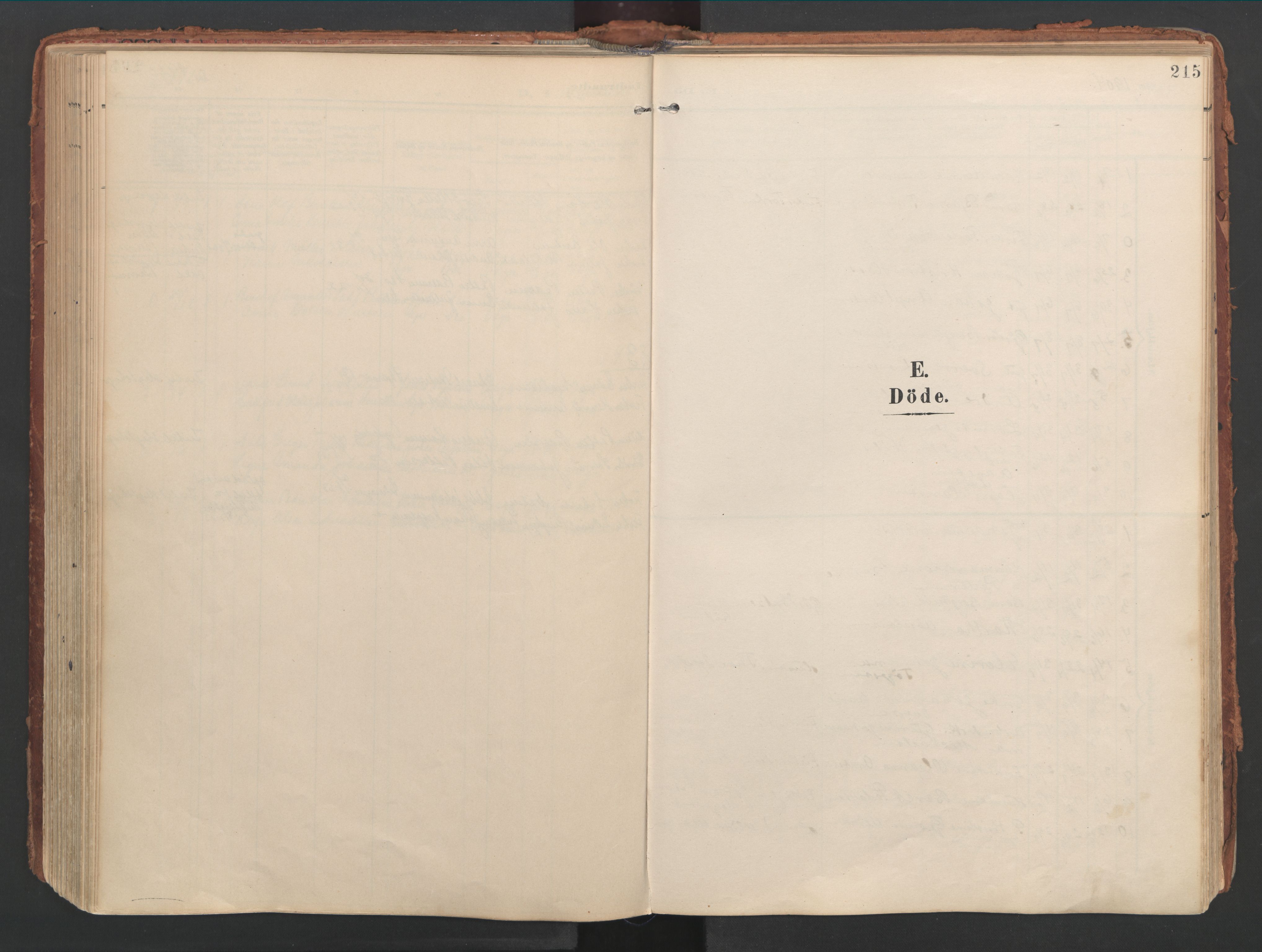 Ministerialprotokoller, klokkerbøker og fødselsregistre - Nordland, AV/SAT-A-1459/816/L0250: Ministerialbok nr. 816A16, 1903-1923, s. 215