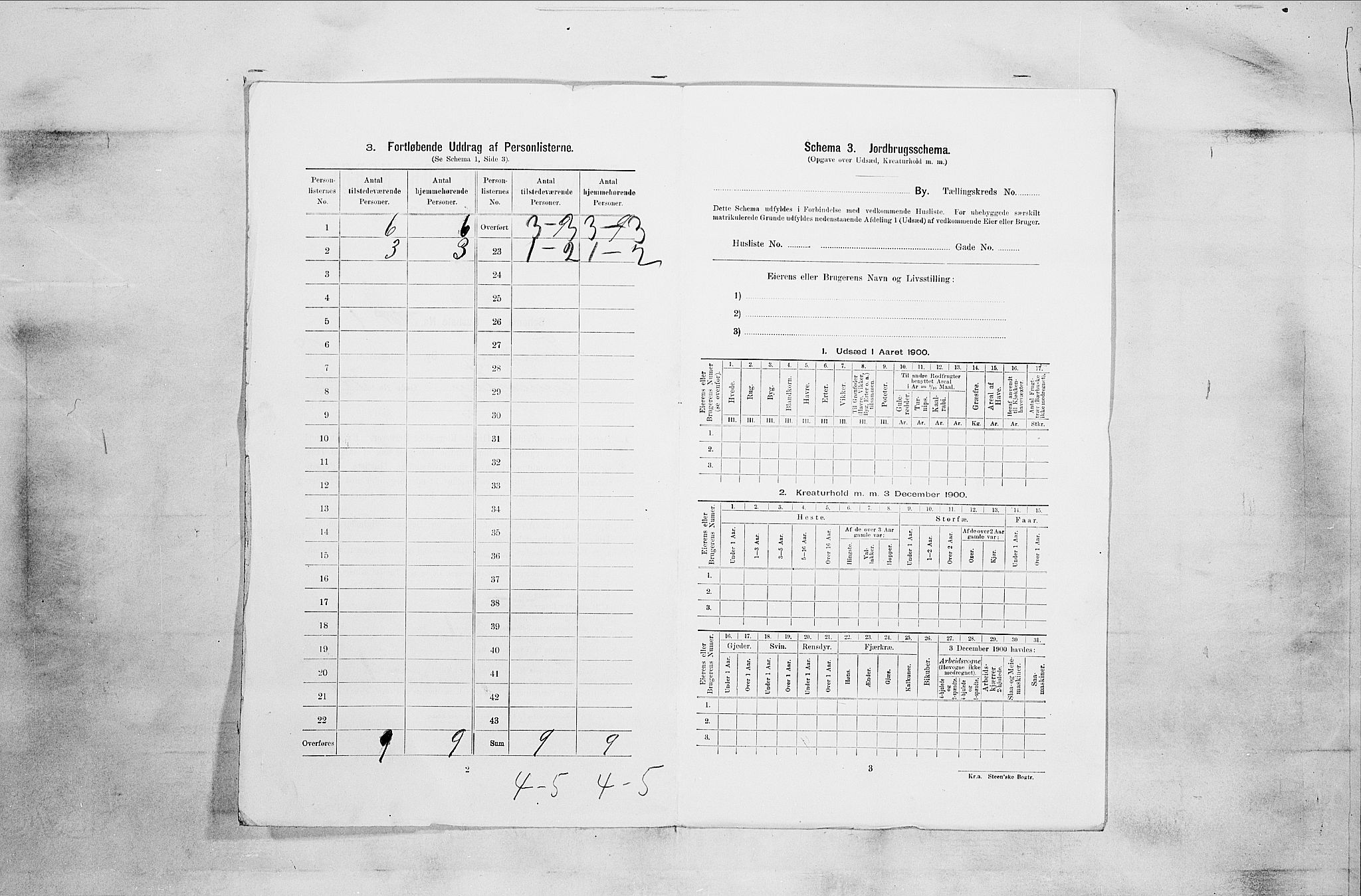 RA, Folketelling 1900 for 0705 Tønsberg kjøpstad, 1900, s. 4290