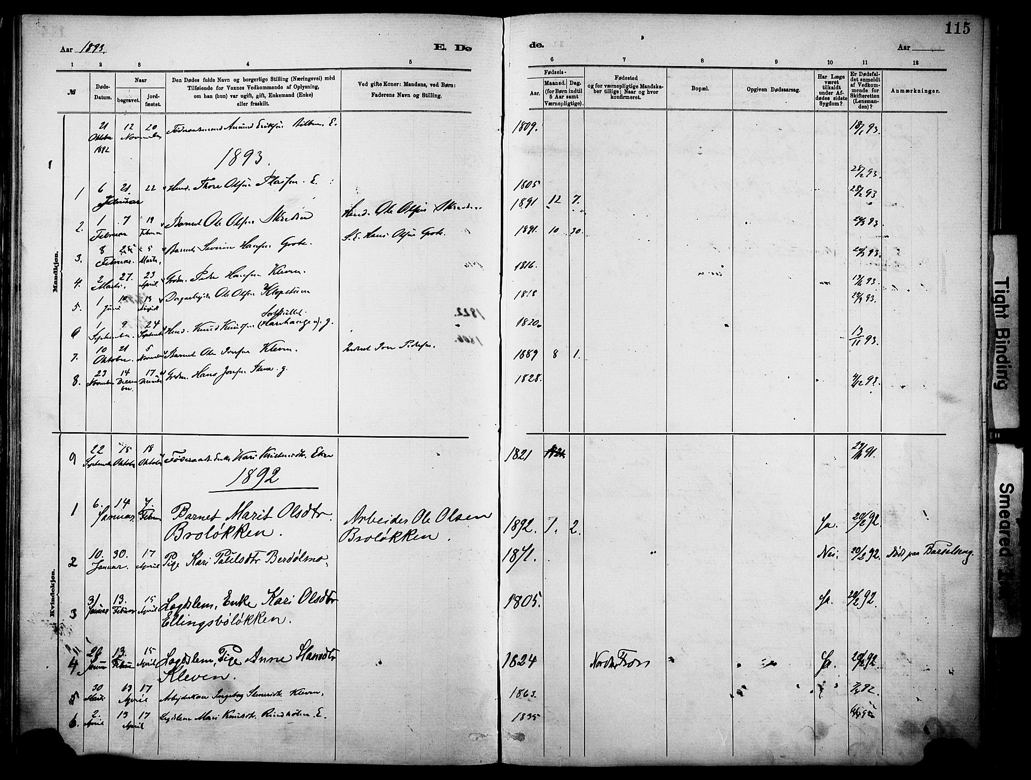 Vågå prestekontor, AV/SAH-PREST-076/H/Ha/Haa/L0010: Ministerialbok nr. 10, 1887-1904, s. 115