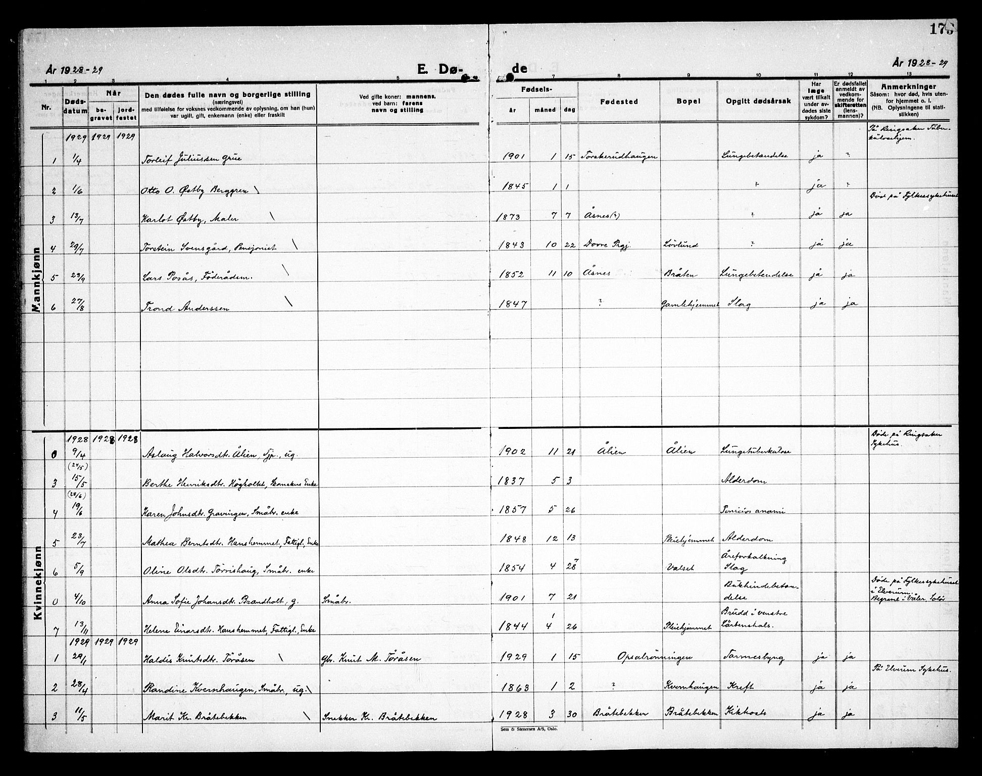 Åsnes prestekontor, SAH/PREST-042/H/Ha/Haa/L0000D: Ministerialbok nr. 0B, 1890-1929, s. 175