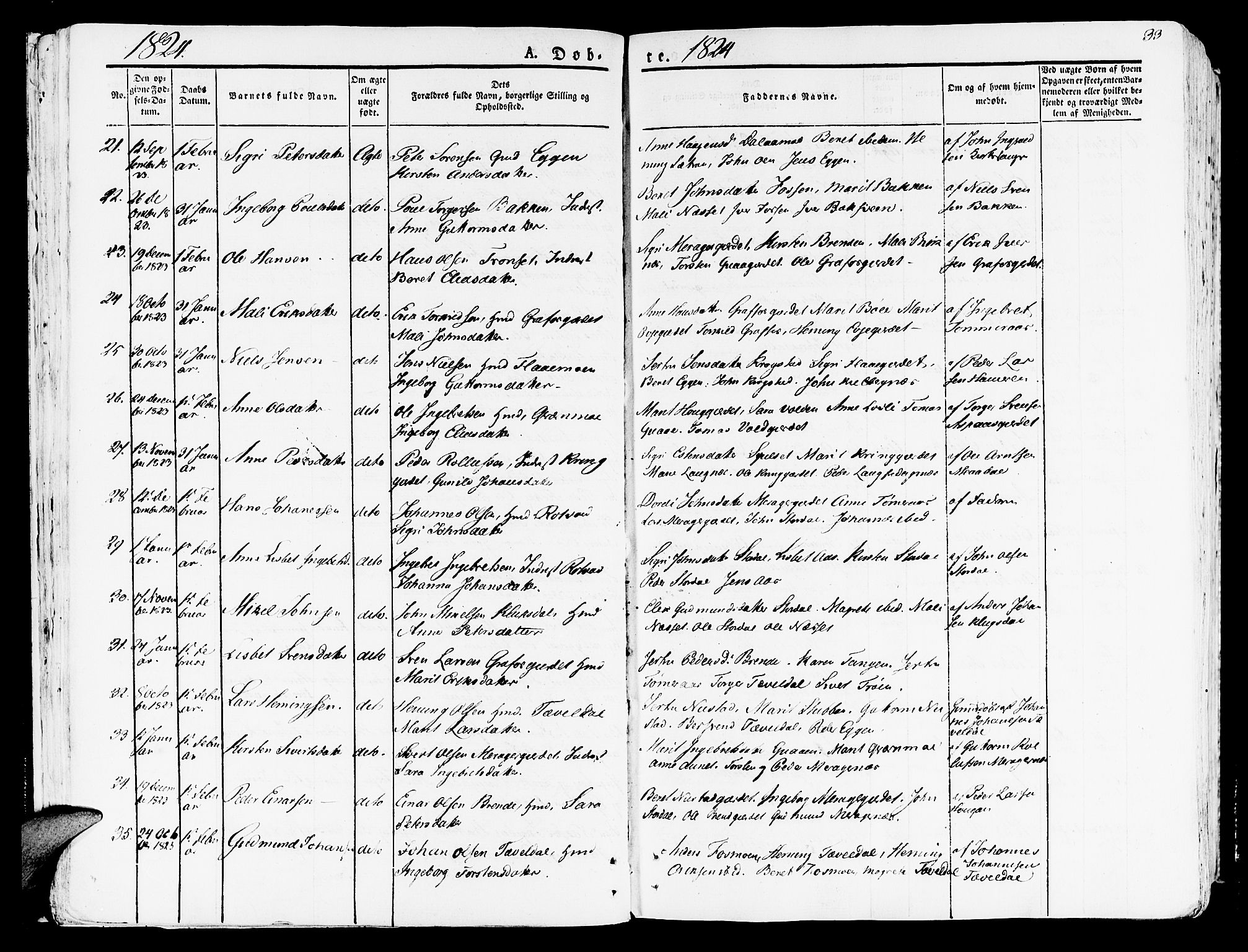 Ministerialprotokoller, klokkerbøker og fødselsregistre - Nord-Trøndelag, AV/SAT-A-1458/709/L0070: Ministerialbok nr. 709A10, 1820-1832, s. 33