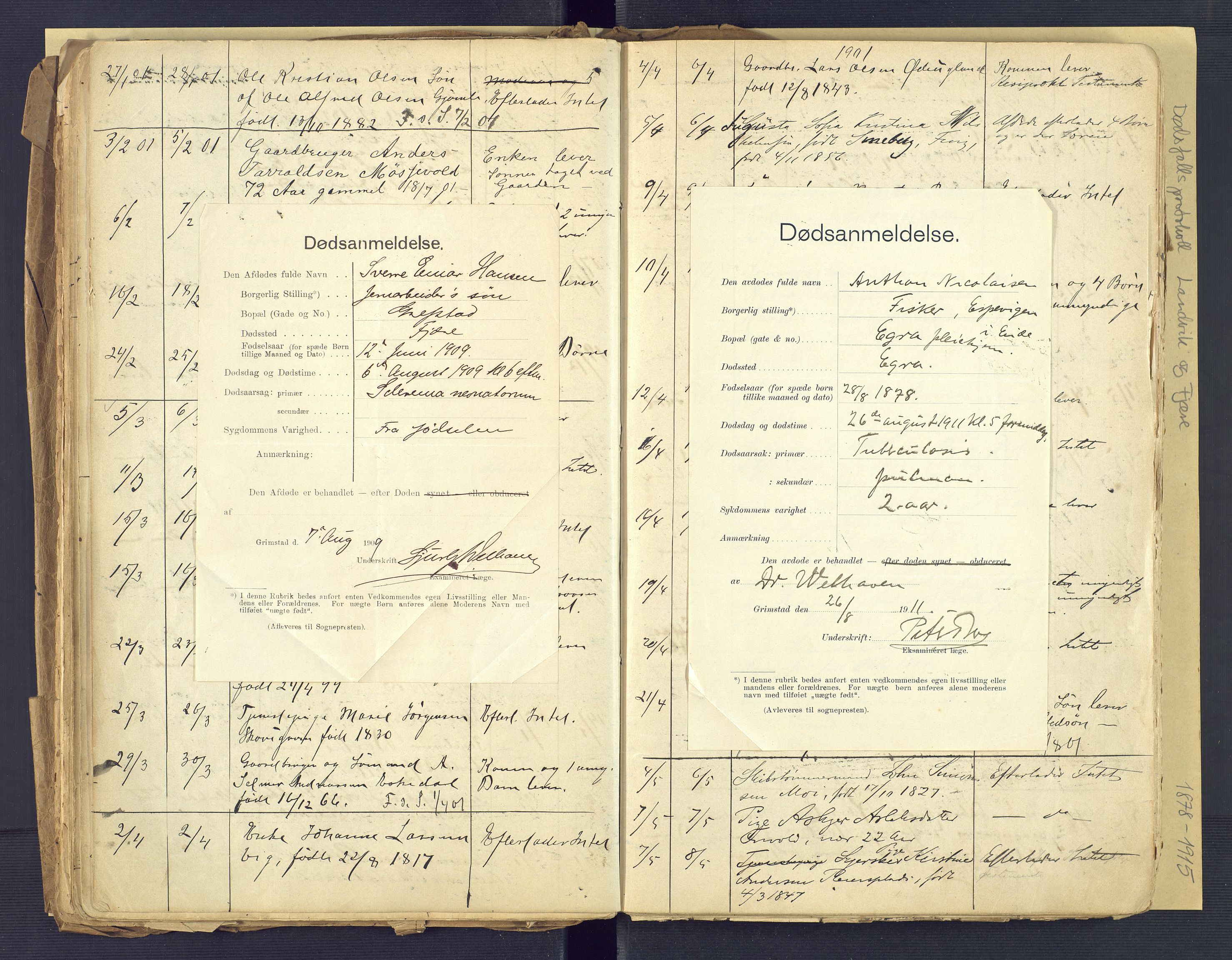 Landvik og Fjære lensmannskontor, SAK/1241-0027/F/Fe/L0001: Dødsfallsprotokoll Landvik og Fjære nr 137, 1878-1915