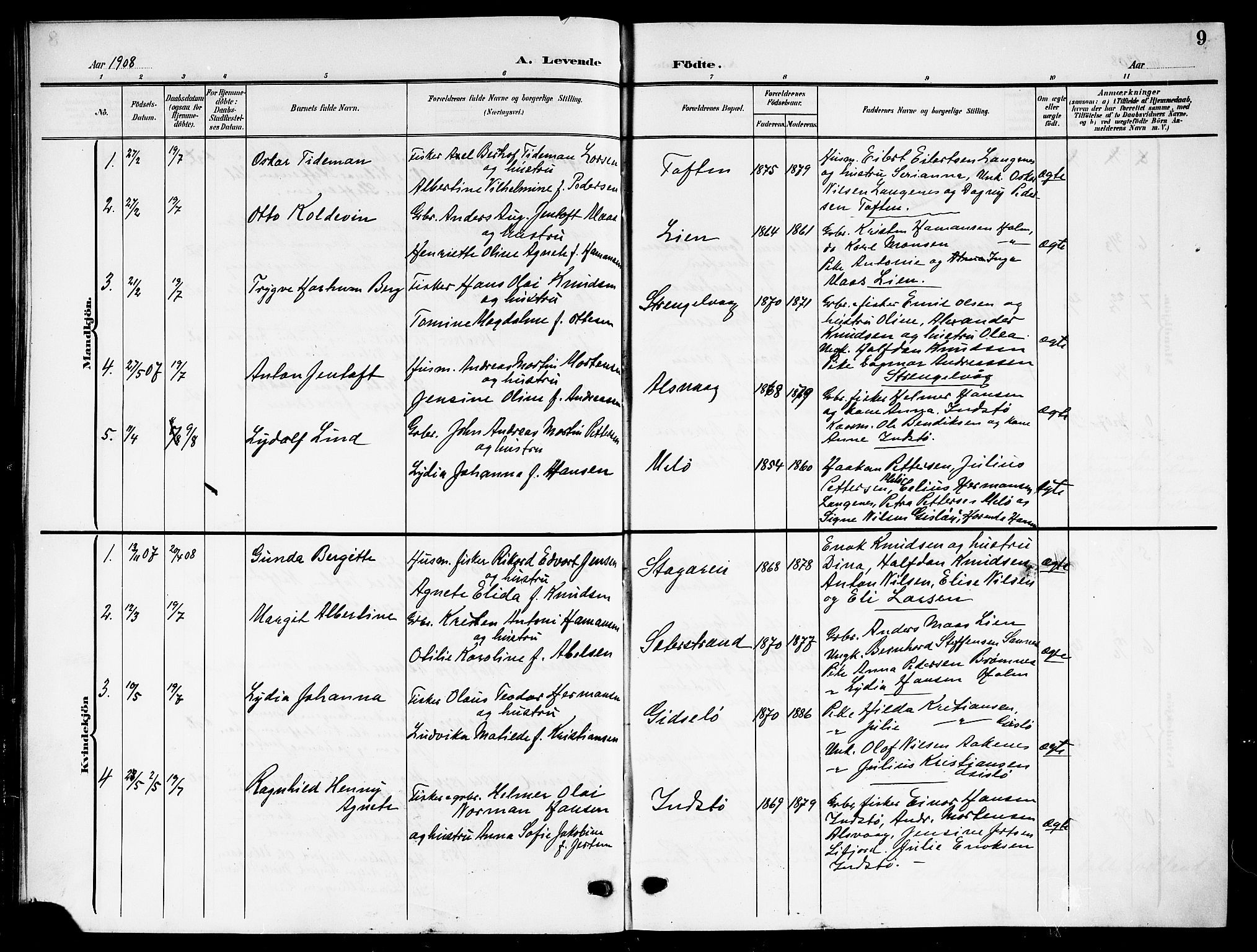 Ministerialprotokoller, klokkerbøker og fødselsregistre - Nordland, AV/SAT-A-1459/894/L1361: Klokkerbok nr. 894C04, 1905-1922, s. 9