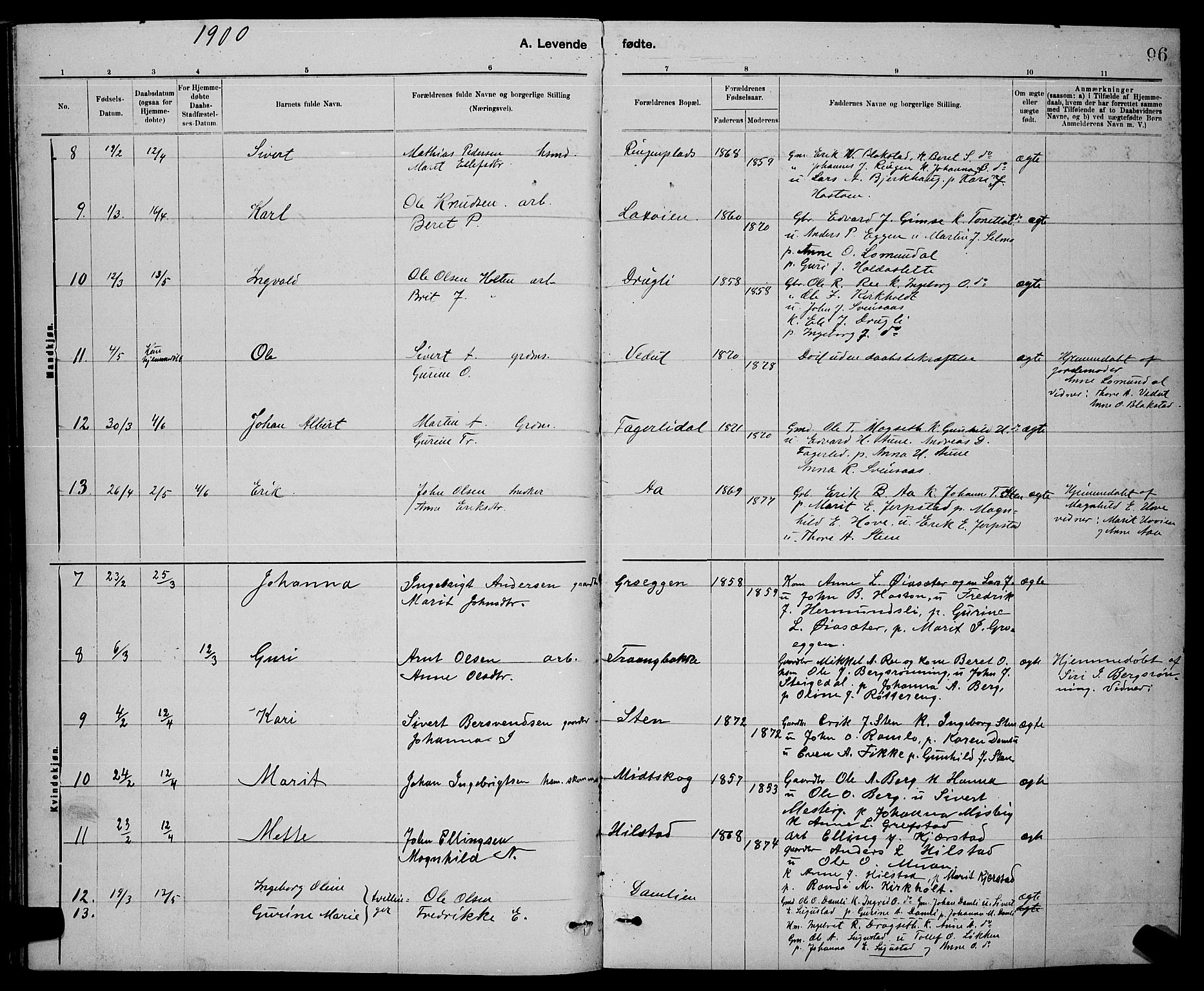 Ministerialprotokoller, klokkerbøker og fødselsregistre - Sør-Trøndelag, AV/SAT-A-1456/672/L0863: Klokkerbok nr. 672C02, 1888-1901, s. 96