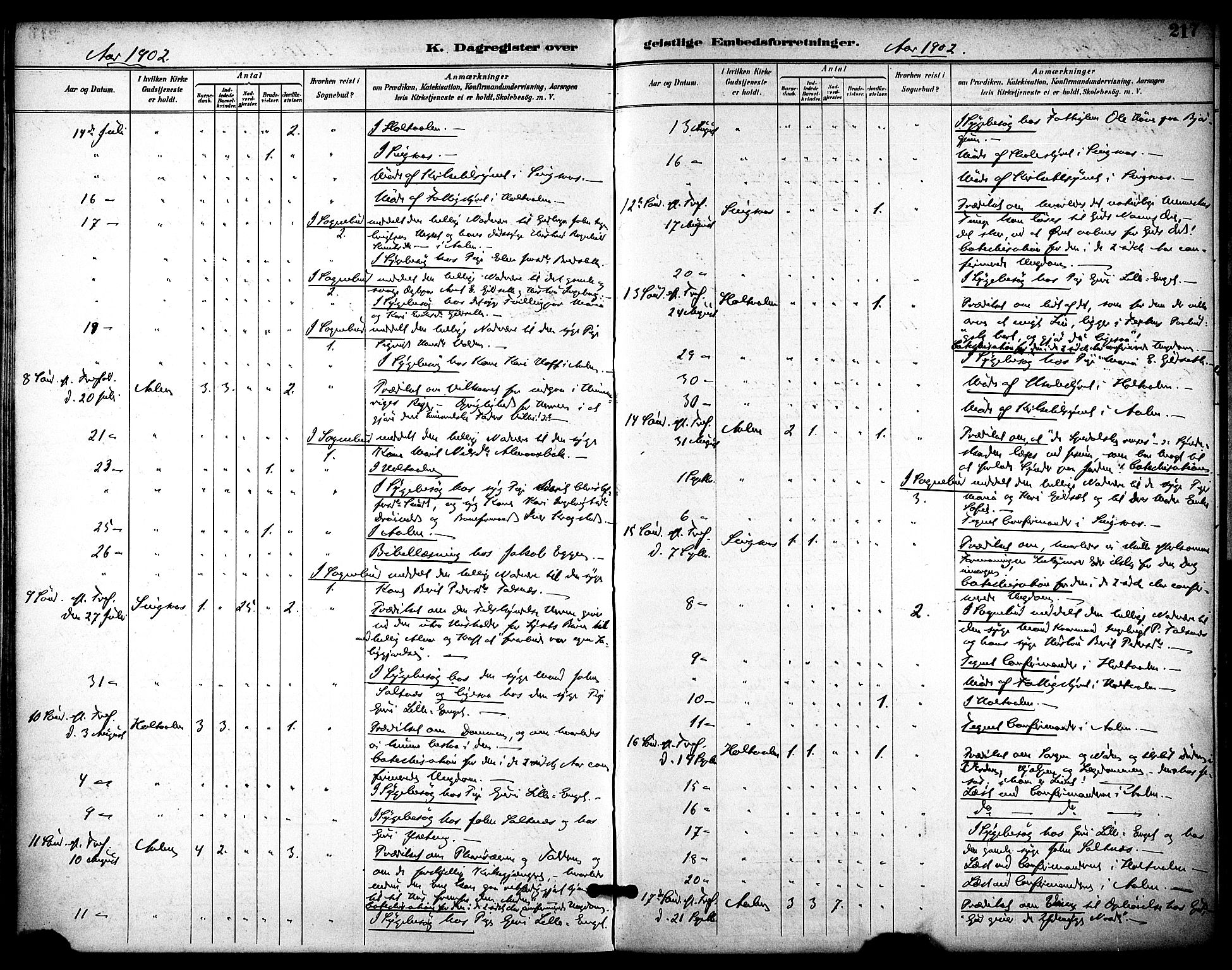 Ministerialprotokoller, klokkerbøker og fødselsregistre - Sør-Trøndelag, AV/SAT-A-1456/686/L0984: Ministerialbok nr. 686A02, 1891-1906, s. 217