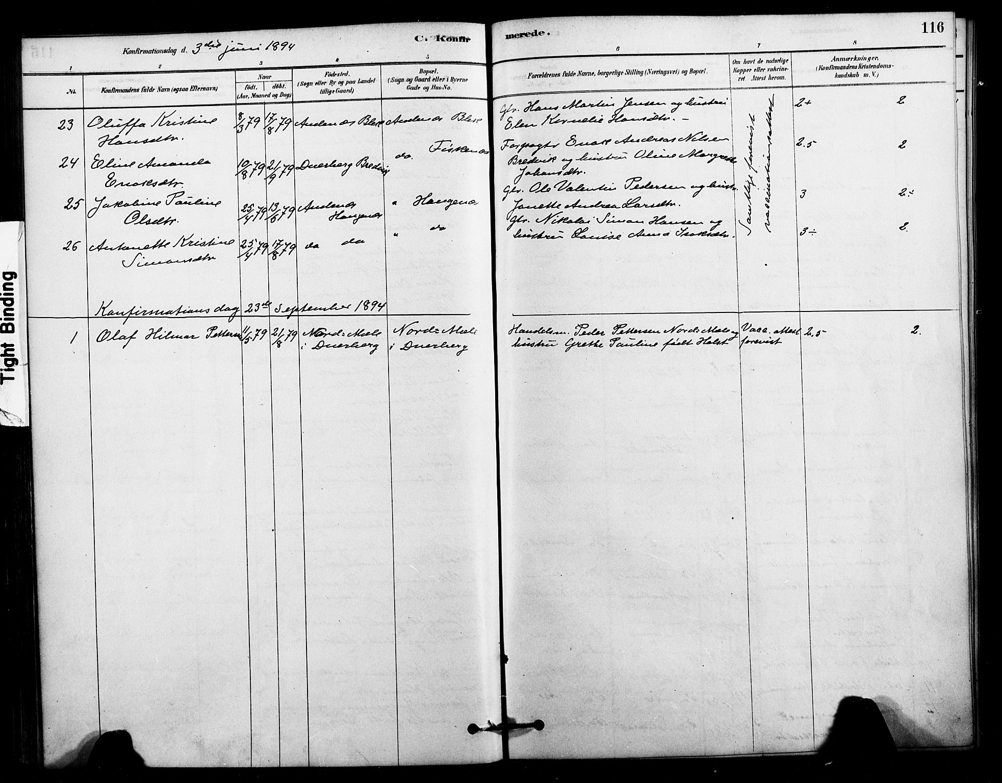 Ministerialprotokoller, klokkerbøker og fødselsregistre - Nordland, AV/SAT-A-1459/897/L1399: Ministerialbok nr. 897C06, 1881-1896, s. 116